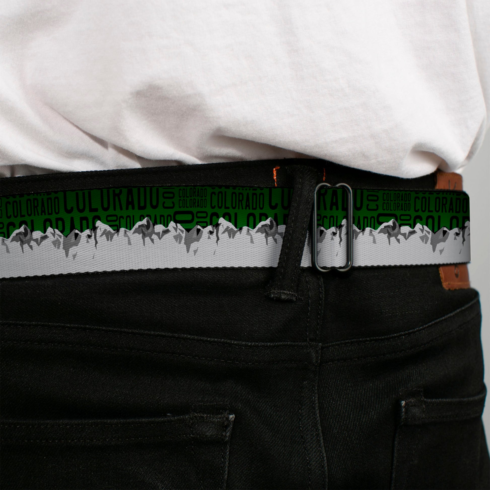 BD Wings Logo CLOSE-UP Full Color Black Silver Seatbelt Belt - Colorado Mountains Green/Black Text/Grays Webbing Seatbelt Belts Buckle-Down