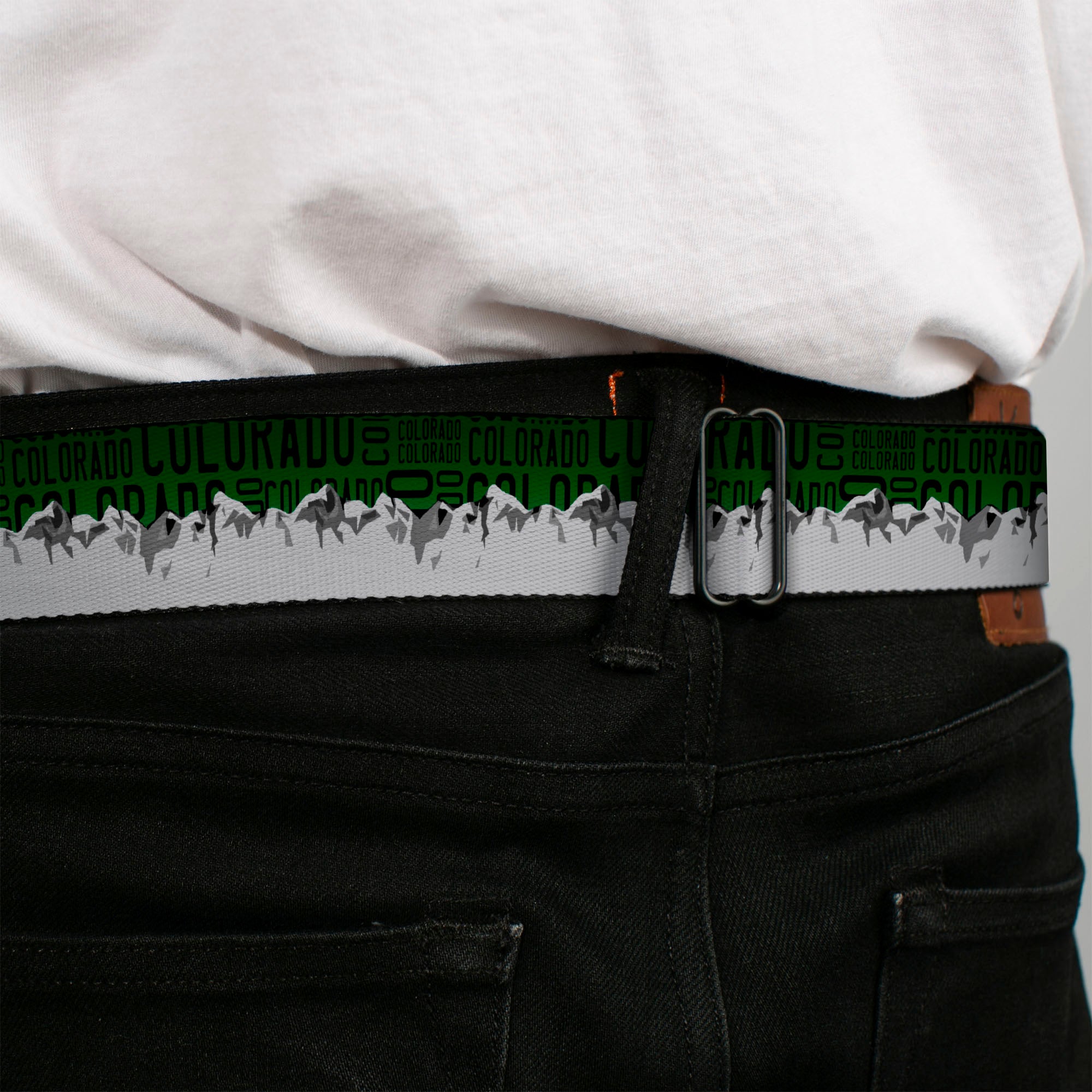 BD Wings Logo CLOSE-UP Full Color Black Silver Seatbelt Belt - Colorado Mountains Green/Black Text/Grays Webbing Seatbelt Belts Buckle-Down