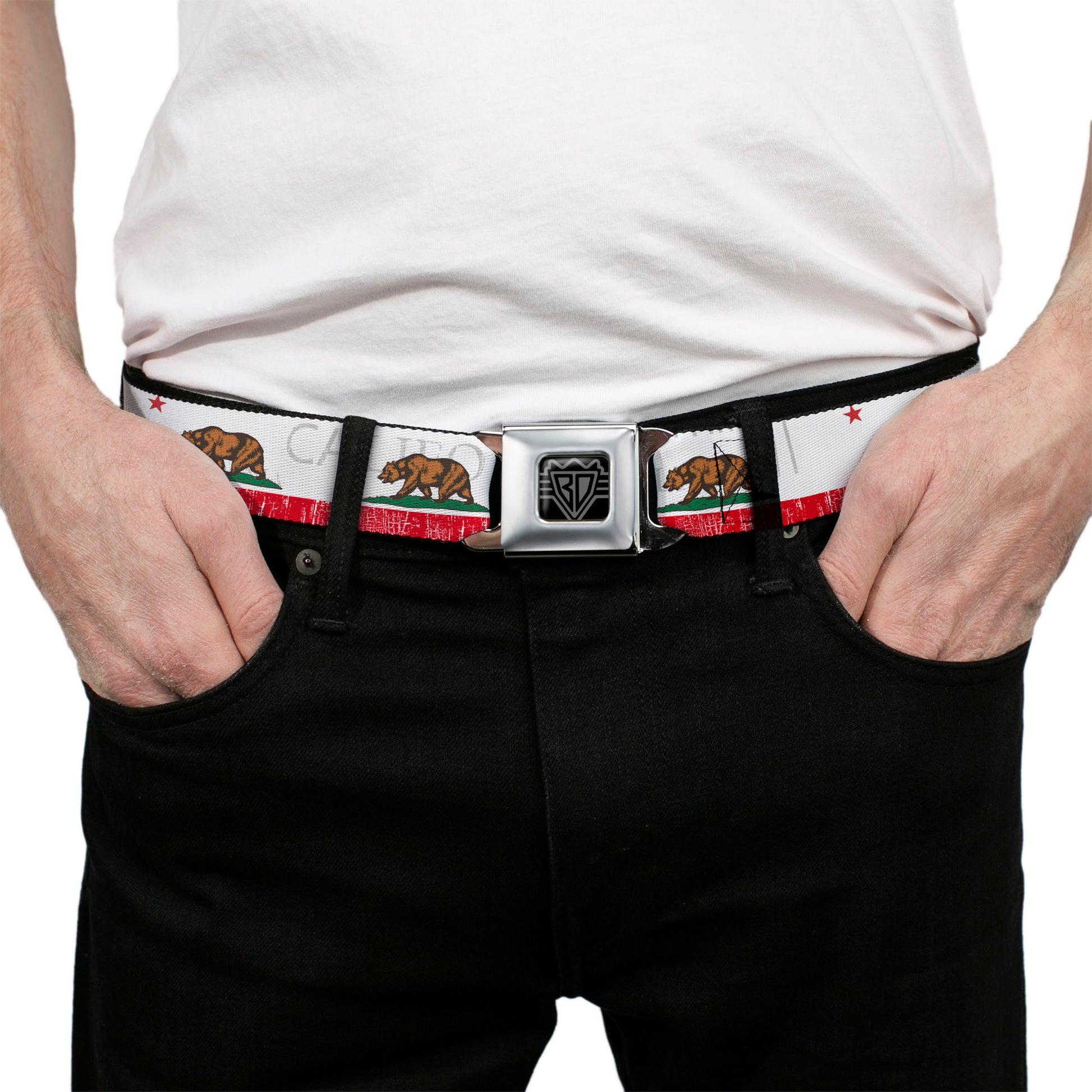 BD Wings Logo CLOSE-UP Full Color Black Silver Seatbelt Belt - CALIFORNIA Bear/Star/Crackle Stripe White/Gray/Red Webbing Seatbelt Belts Buckle-Down