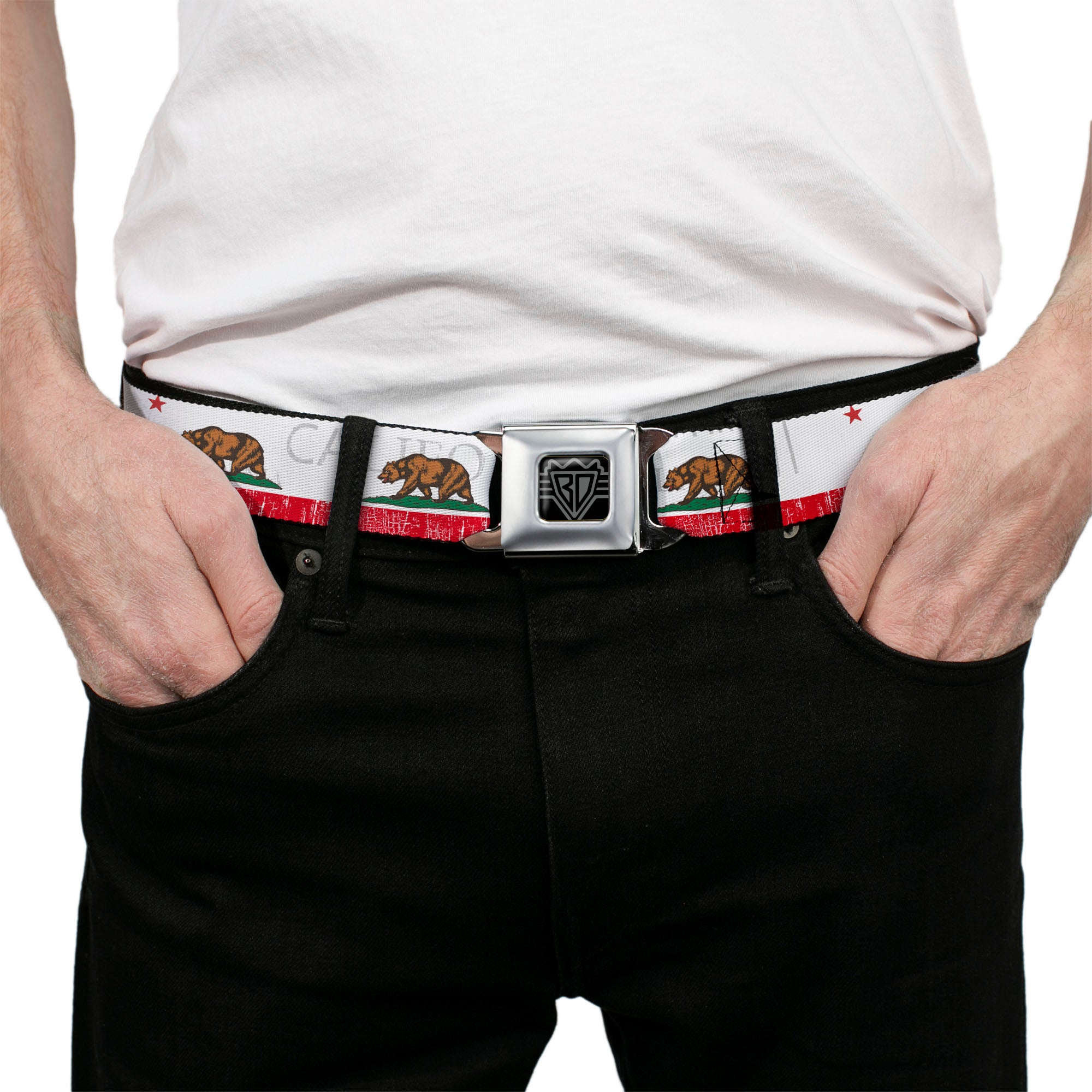 BD Wings Logo CLOSE-UP Full Color Black Silver Seatbelt Belt - CALIFORNIA Bear/Star/Crackle Stripe White/Gray/Red Webbing Seatbelt Belts Buckle-Down