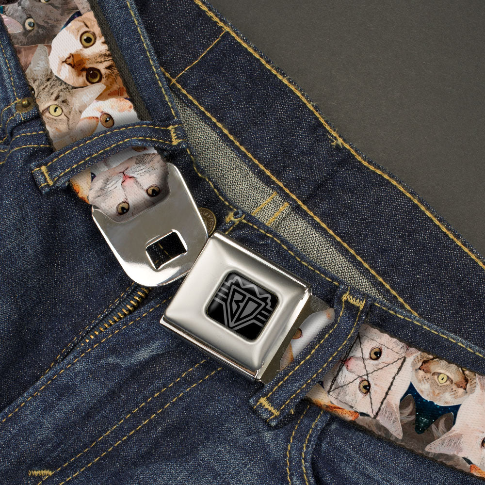 BD Wings Logo CLOSE-UP Black/Silver Seatbelt Belt - Cat Faces Stacked Webbing Seatbelt Belts Buckle-Down