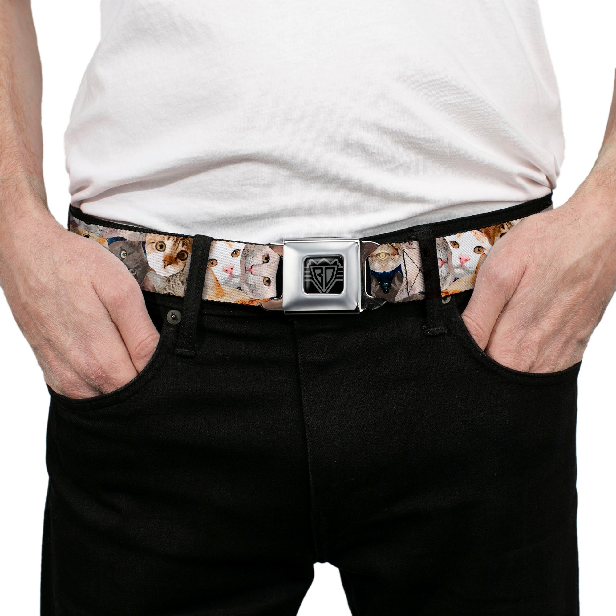 BD Wings Logo CLOSE-UP Black/Silver Seatbelt Belt - Cat Faces Stacked Webbing Seatbelt Belts Buckle-Down