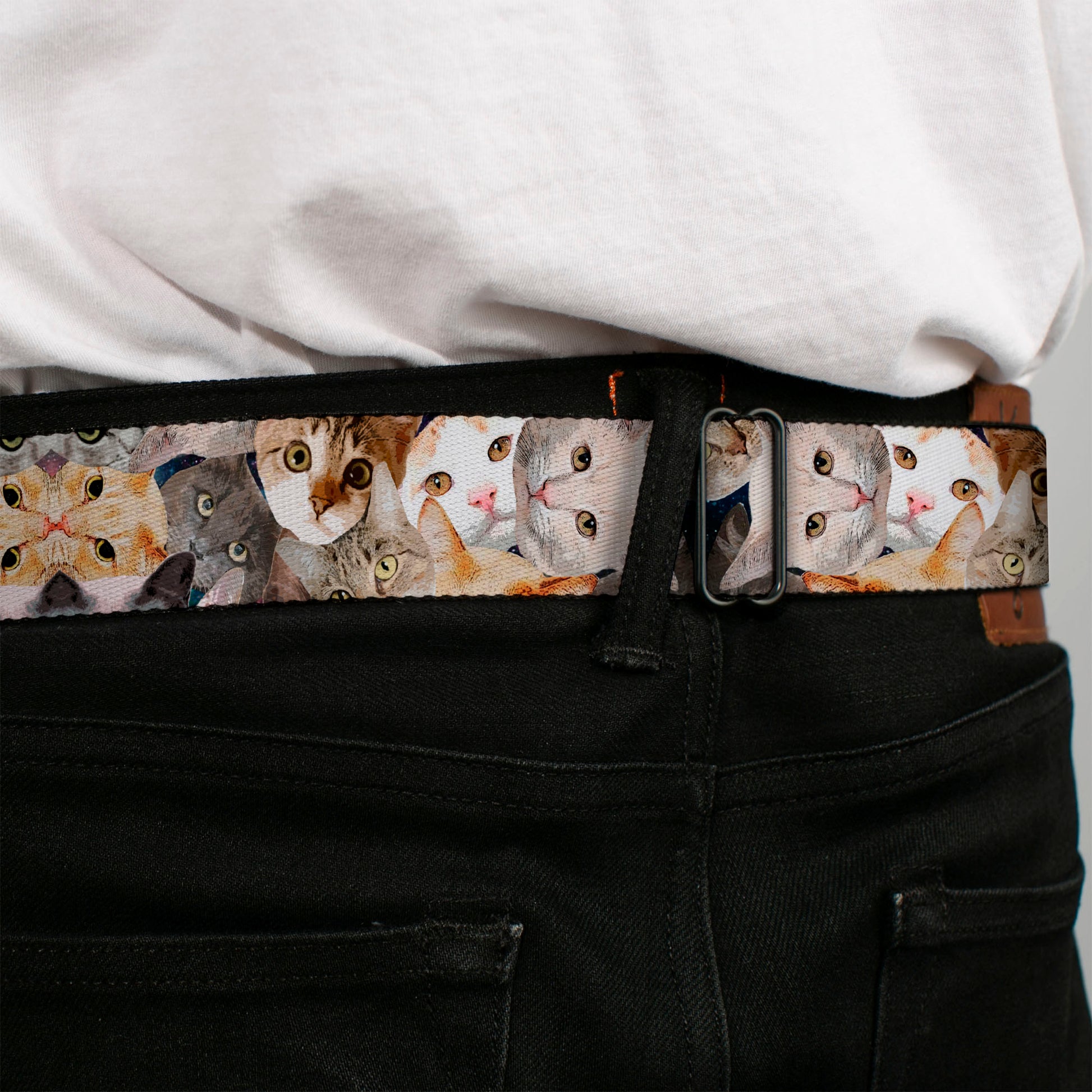 BD Wings Logo CLOSE-UP Black/Silver Seatbelt Belt - Cat Faces Stacked Webbing Seatbelt Belts Buckle-Down