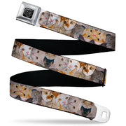 BD Wings Logo CLOSE-UP Black/Silver Seatbelt Belt - Cat Faces Stacked Webbing Seatbelt Belts Buckle-Down