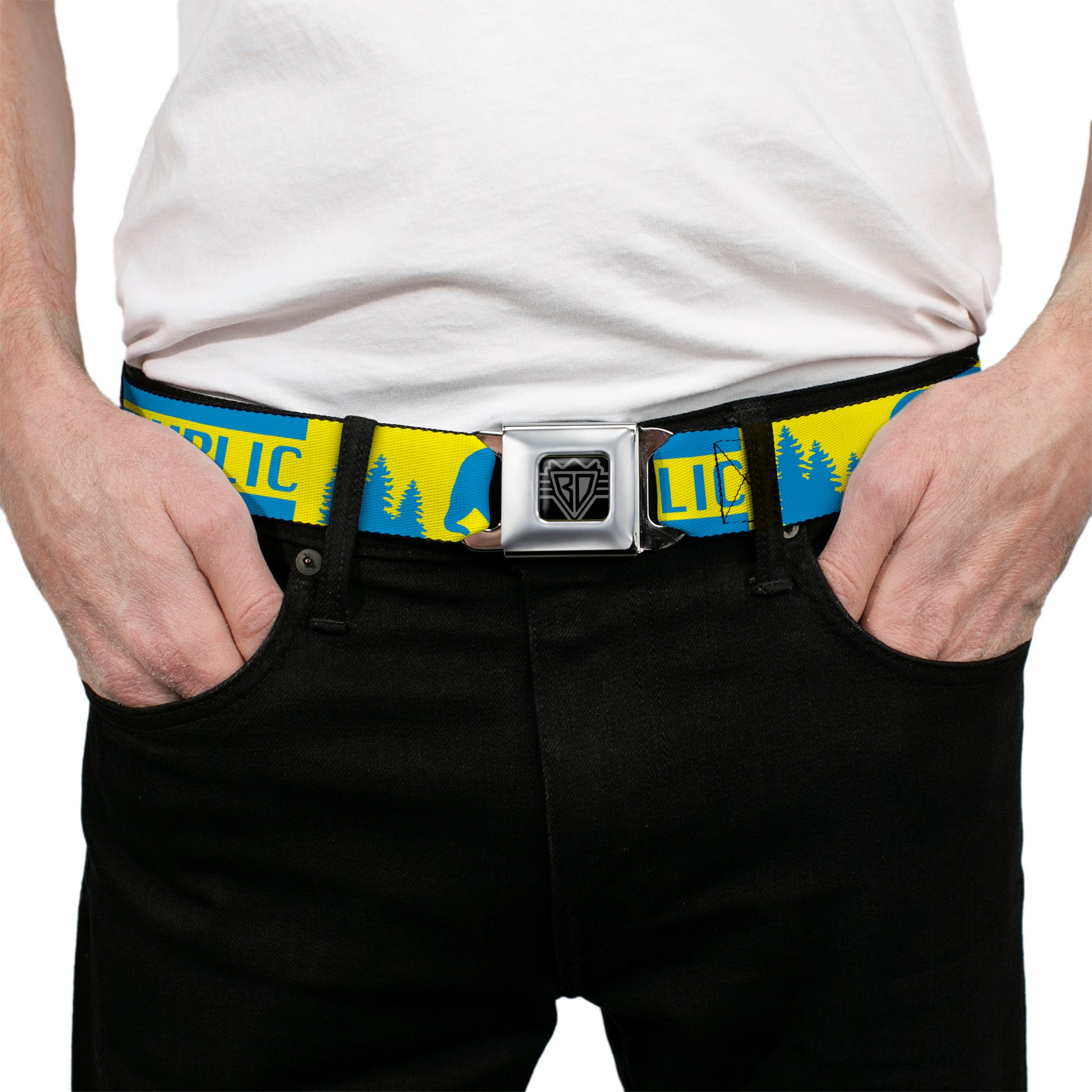 BD Wings Logo CLOSE-UP Full Color Black Silver Seatbelt Belt - CALIFORNIA REPUBLIC/Bear/Stars Silhouette Yellow/Blue Webbing Seatbelt Belts Buckle-Down