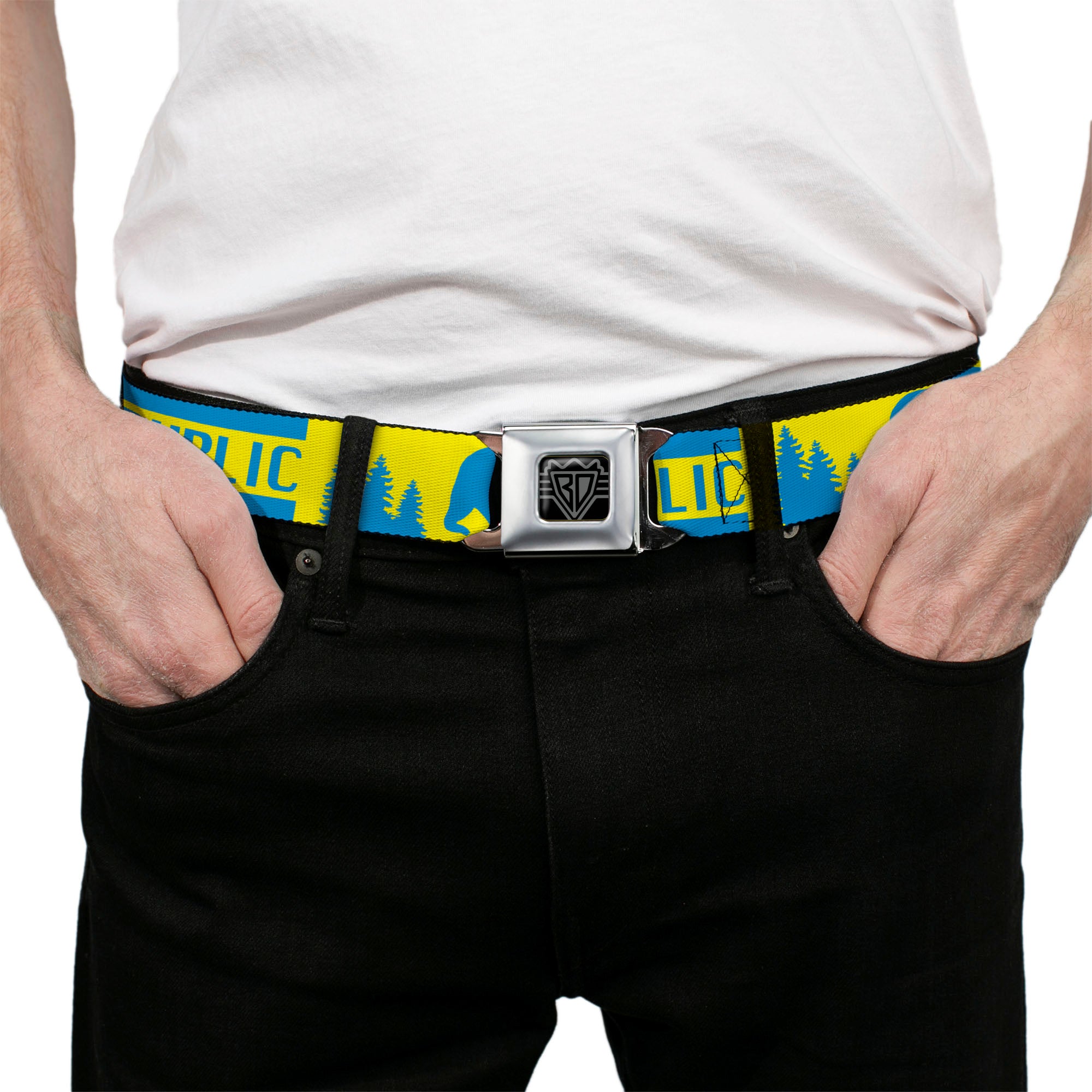 BD Wings Logo CLOSE-UP Full Color Black Silver Seatbelt Belt - CALIFORNIA REPUBLIC/Bear/Stars Silhouette Yellow/Blue Webbing Seatbelt Belts Buckle-Down