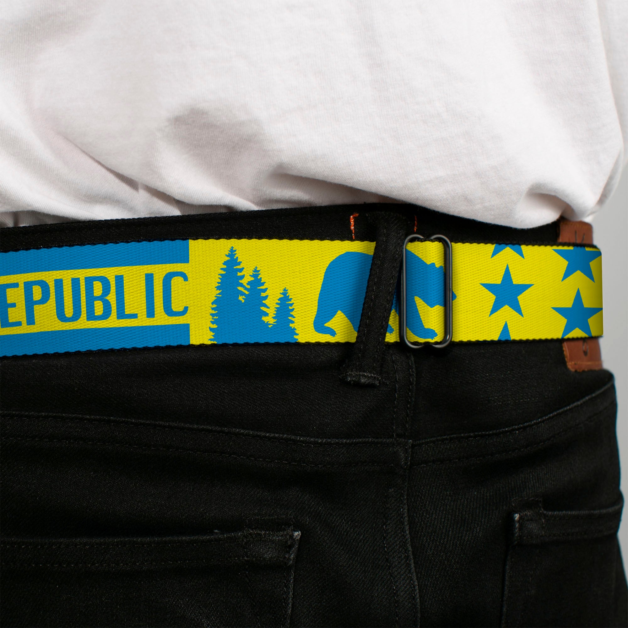 BD Wings Logo CLOSE-UP Full Color Black Silver Seatbelt Belt - CALIFORNIA REPUBLIC/Bear/Stars Silhouette Yellow/Blue Webbing Seatbelt Belts Buckle-Down