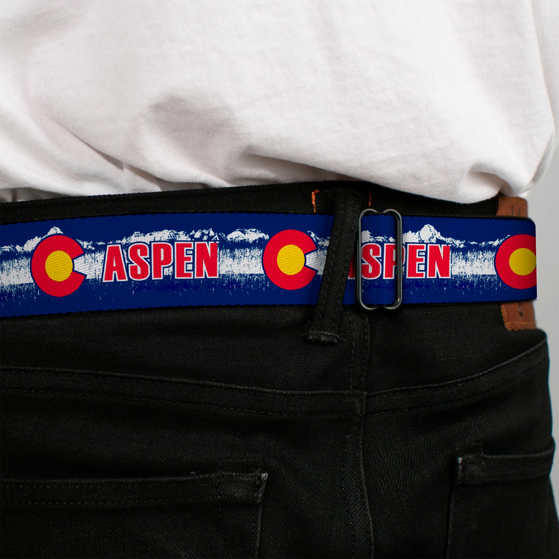 BD Wings Logo CLOSE-UP Full Color Black Silver Seatbelt Belt - Colorado ASPEN Flag/Snowy Mountains Weathered Blue/White/Red/Yellows Webbing Seatbelt Belts Buckle-Down