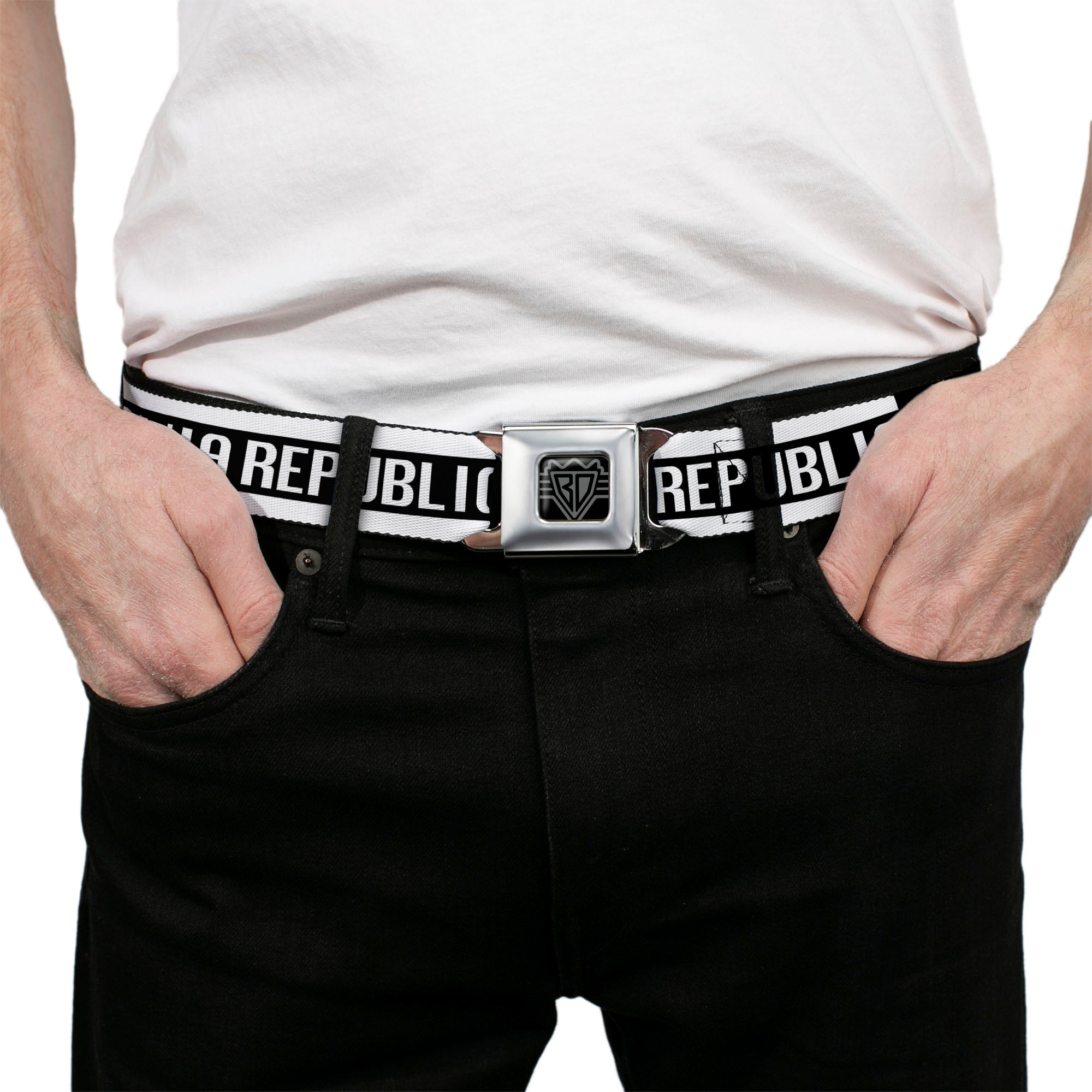 BD Wings Logo CLOSE-UP Black/Silver Seatbelt Belt - CALIFORNIA REPUBLIC/Bear/Stars Silhouette Black/White Webbing Seatbelt Belts Buckle-Down