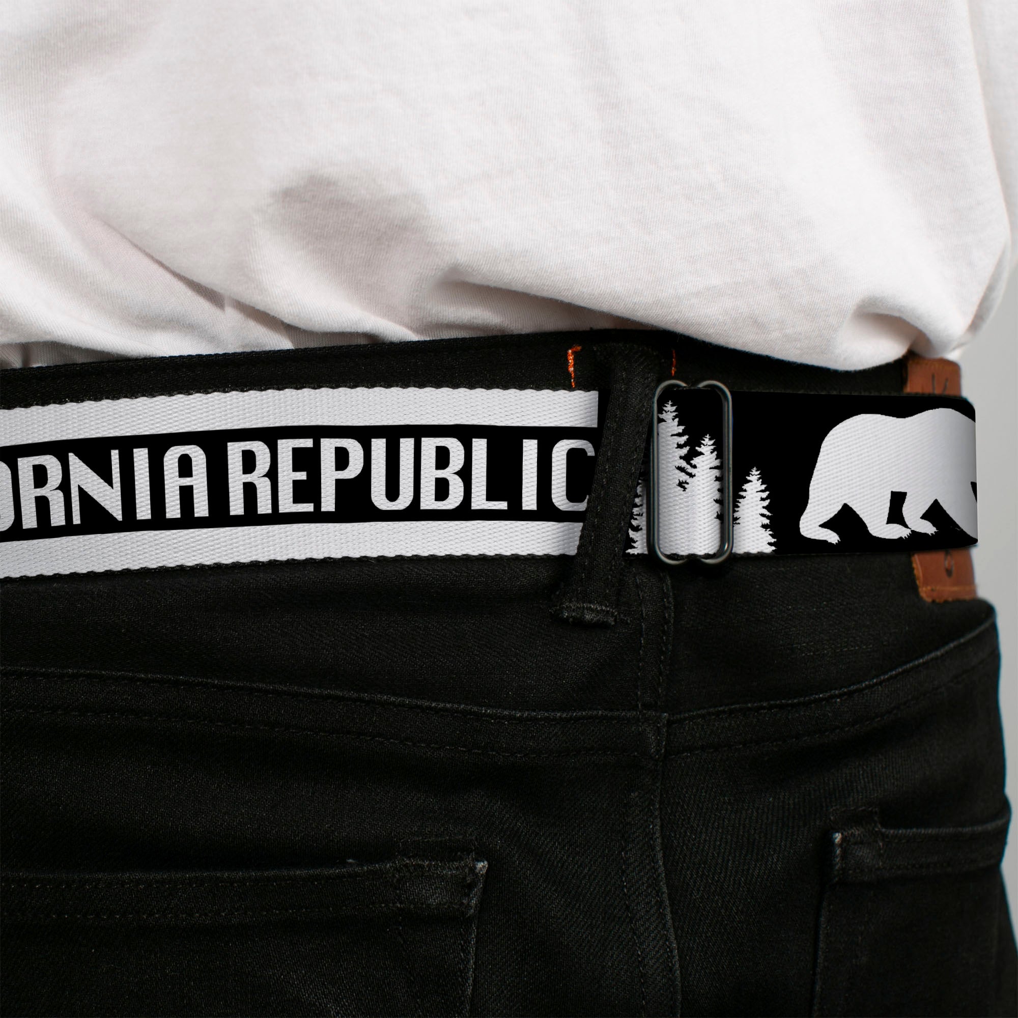 BD Wings Logo CLOSE-UP Black/Silver Seatbelt Belt - CALIFORNIA REPUBLIC/Bear/Stars Silhouette Black/White Webbing Seatbelt Belts Buckle-Down