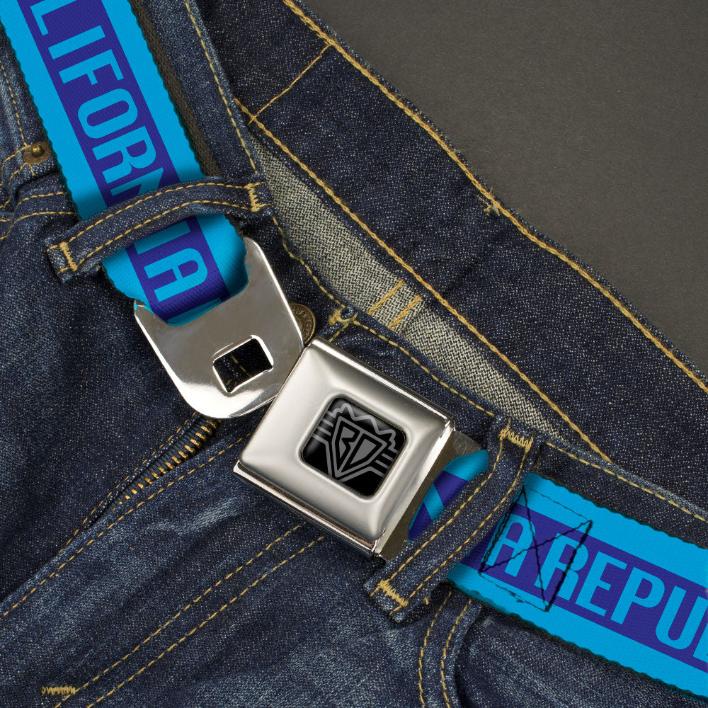 BD Wings Logo CLOSE-UP Black/Silver Seatbelt Belt - CALIFORNIA REPUBLIC/Bear/Stars Silhouette Blues Webbing Seatbelt Belts Buckle-Down
