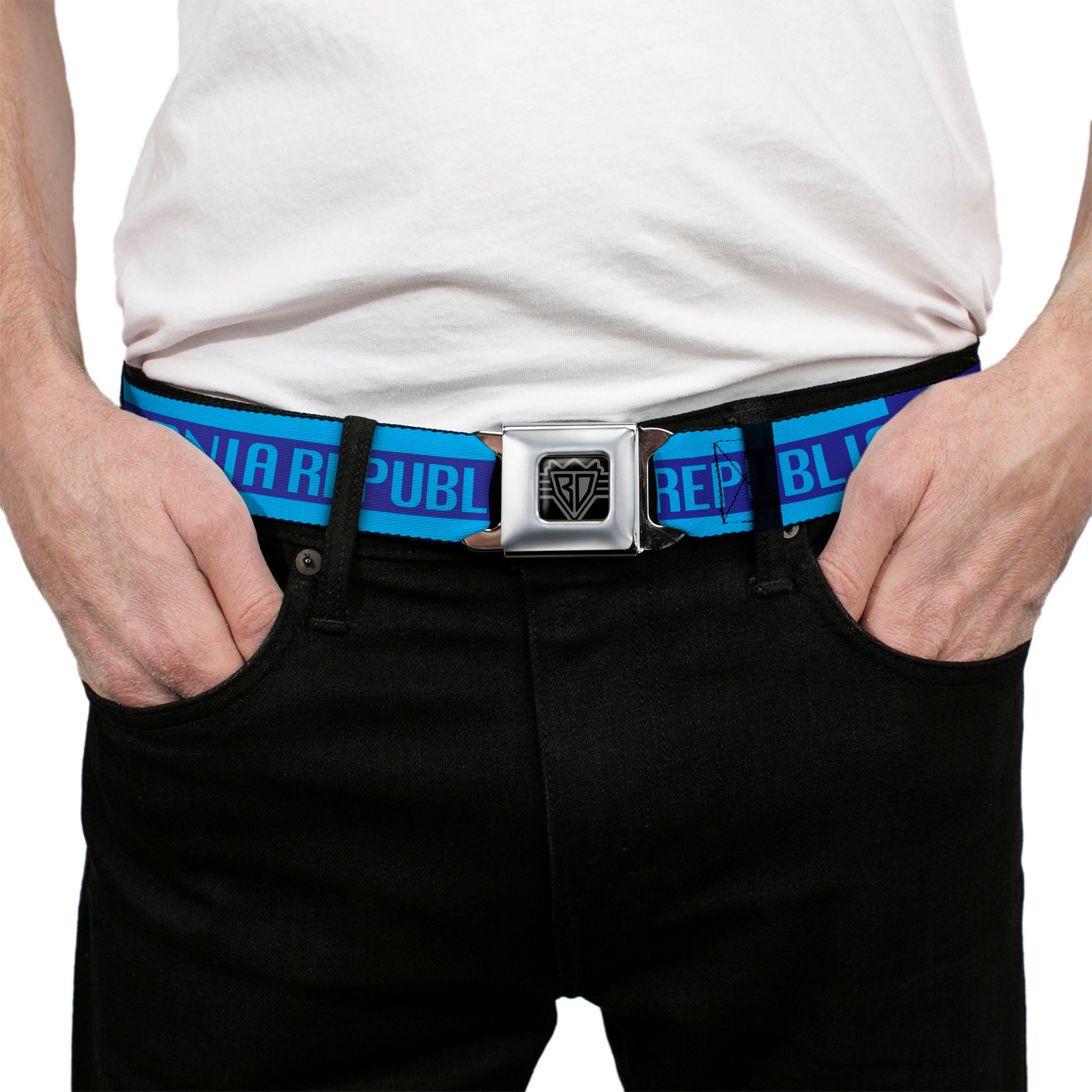 BD Wings Logo CLOSE-UP Black/Silver Seatbelt Belt - CALIFORNIA REPUBLIC/Bear/Stars Silhouette Blues Webbing Seatbelt Belts Buckle-Down