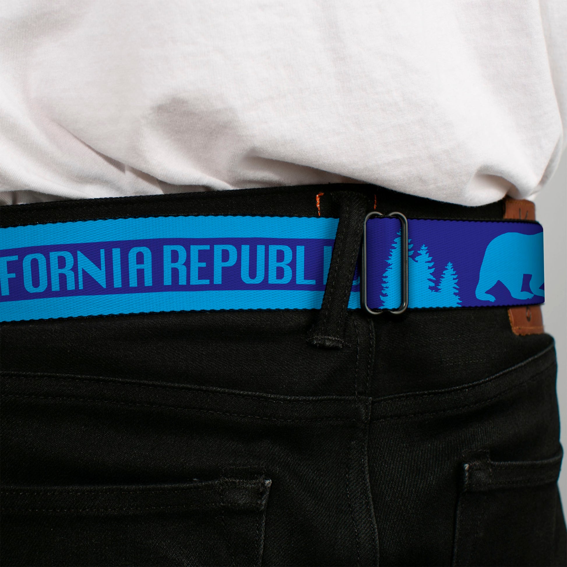 BD Wings Logo CLOSE-UP Black/Silver Seatbelt Belt - CALIFORNIA REPUBLIC/Bear/Stars Silhouette Blues Webbing Seatbelt Belts Buckle-Down