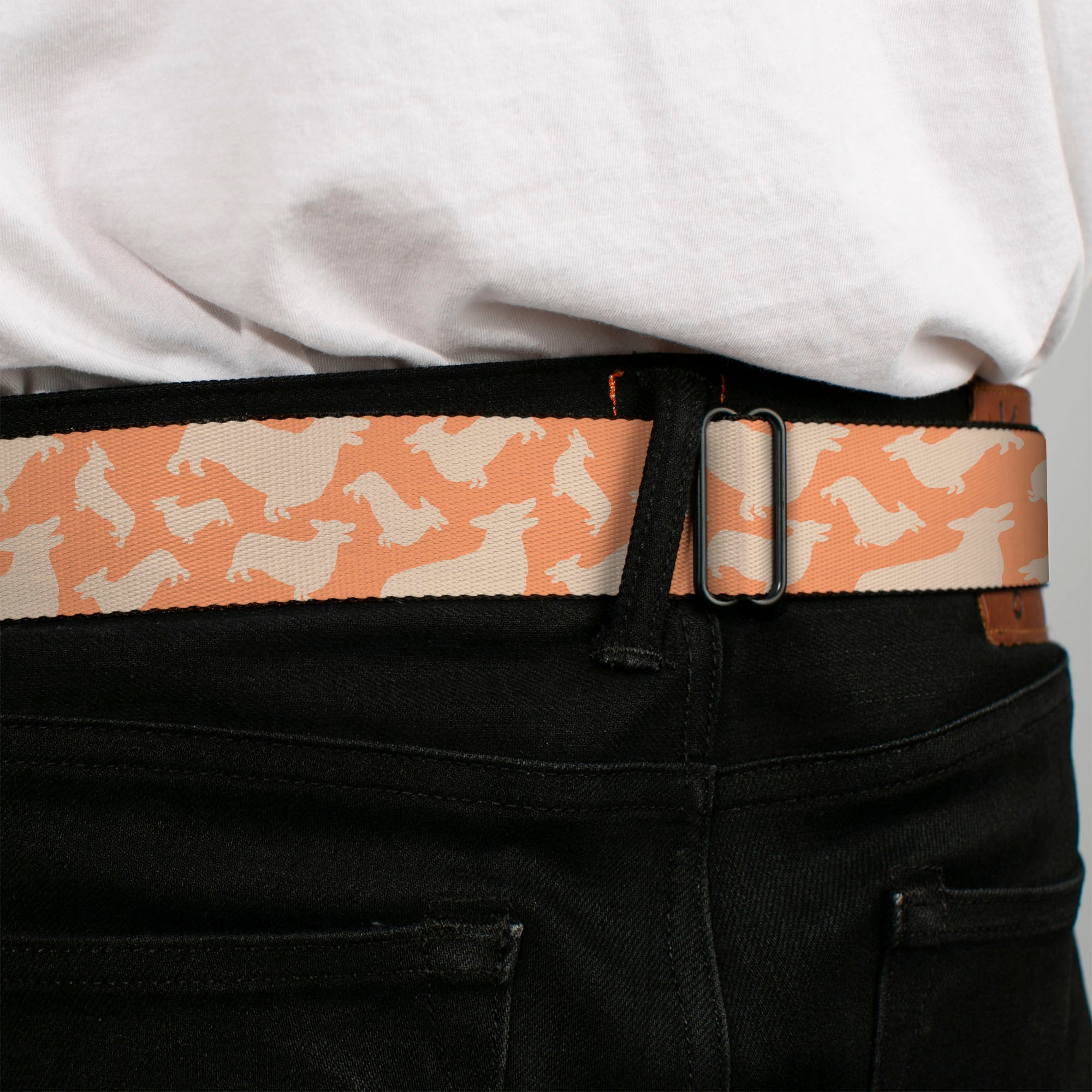 BD Wings Logo CLOSE-UP Black/Silver Seatbelt Belt - Corgi Silhouette Poses Golden Tan Webbing Seatbelt Belts Buckle-Down