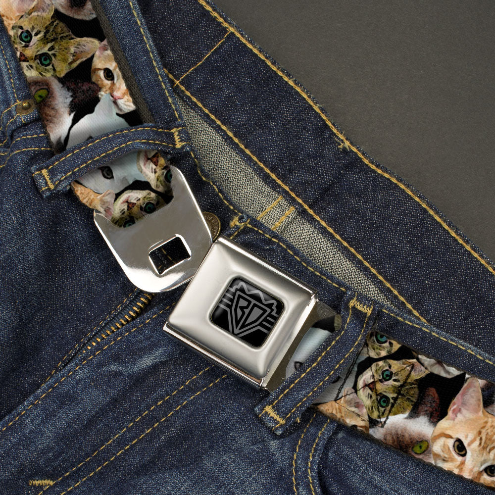 BD Wings Logo CLOSE-UP Black/Silver Seatbelt Belt - Cat Faces Stacked2 Webbing Seatbelt Belts Buckle-Down