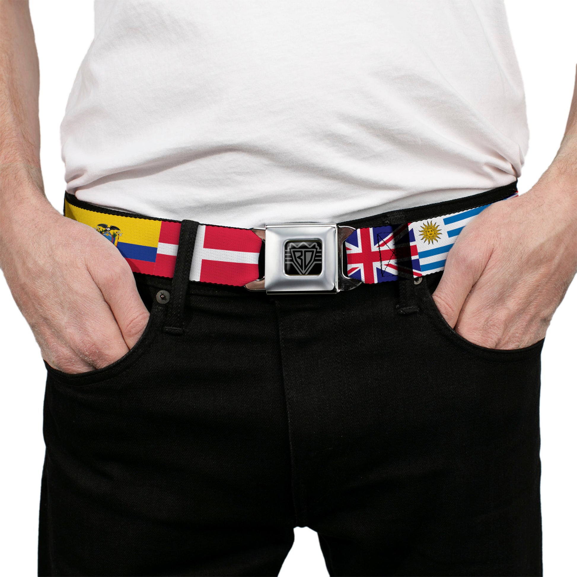 BD Wings Logo CLOSE-UP Black/Silver Seatbelt Belt - Soccer Fan World Cup Team Country Flags Webbing Seatbelt Belts Buckle-Down