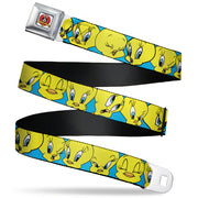 Looney Tunes Logo Full Color White Seatbelt Belt - Tweety Bird CLOSE-UP Expressions Baby Blue Webbing Seatbelt Belts Looney Tunes