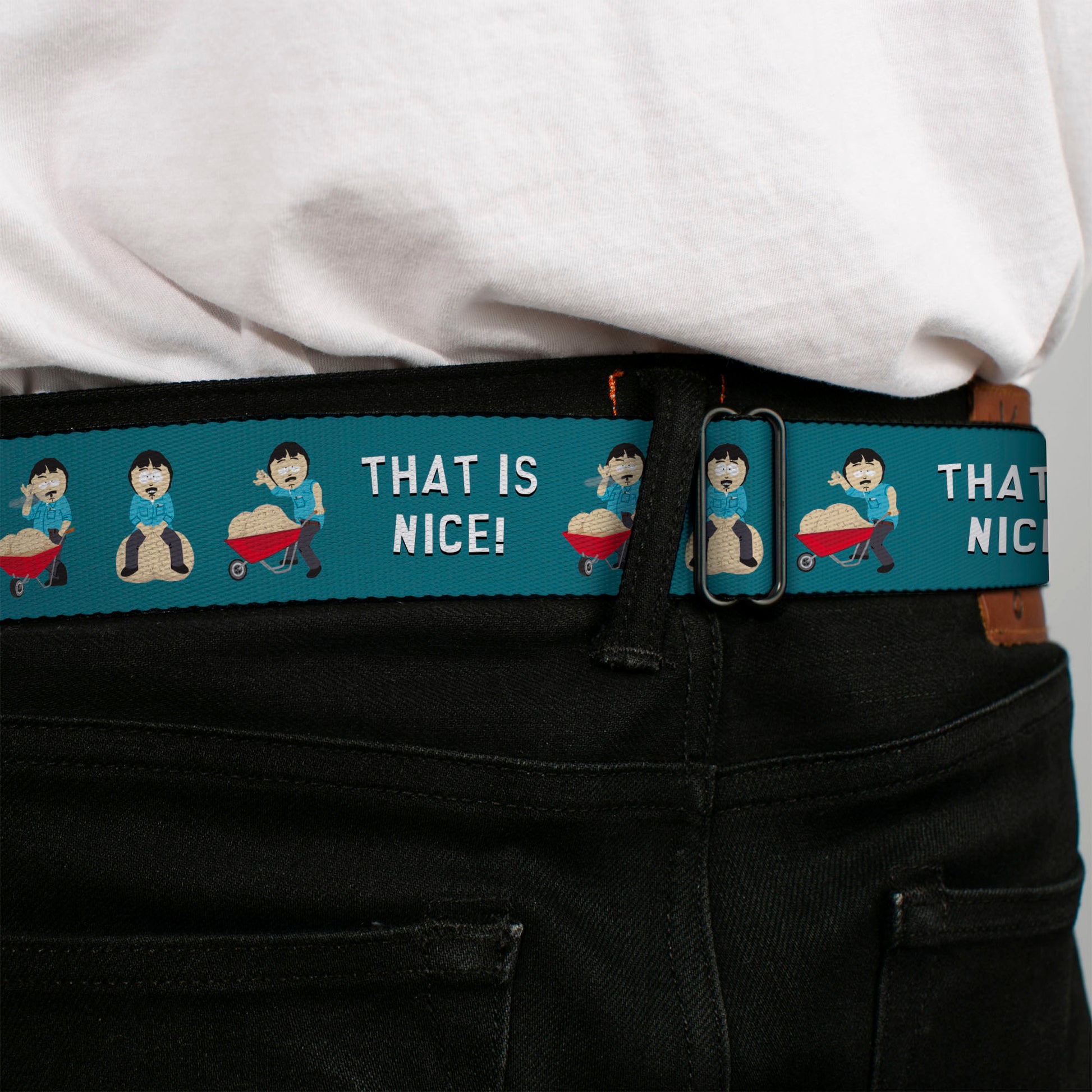 SOUTH PARK Title Logo Full Color Black/White Seatbelt Belt - South Park Randy Marsh THAT IS NICE Big Balls Poses Blue Webbing Seatbelt Belts South Park