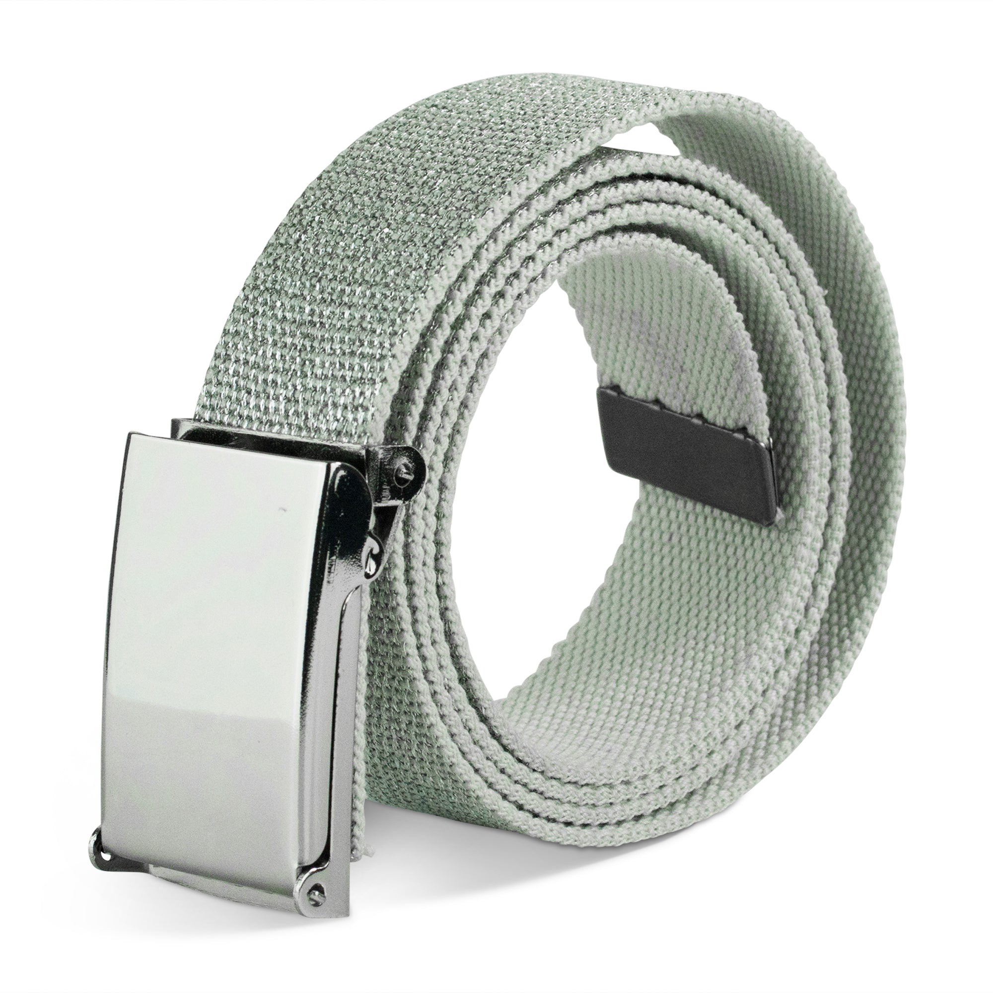 Web Belt Blank Chrome Buckle - Metallic Silver Webbing