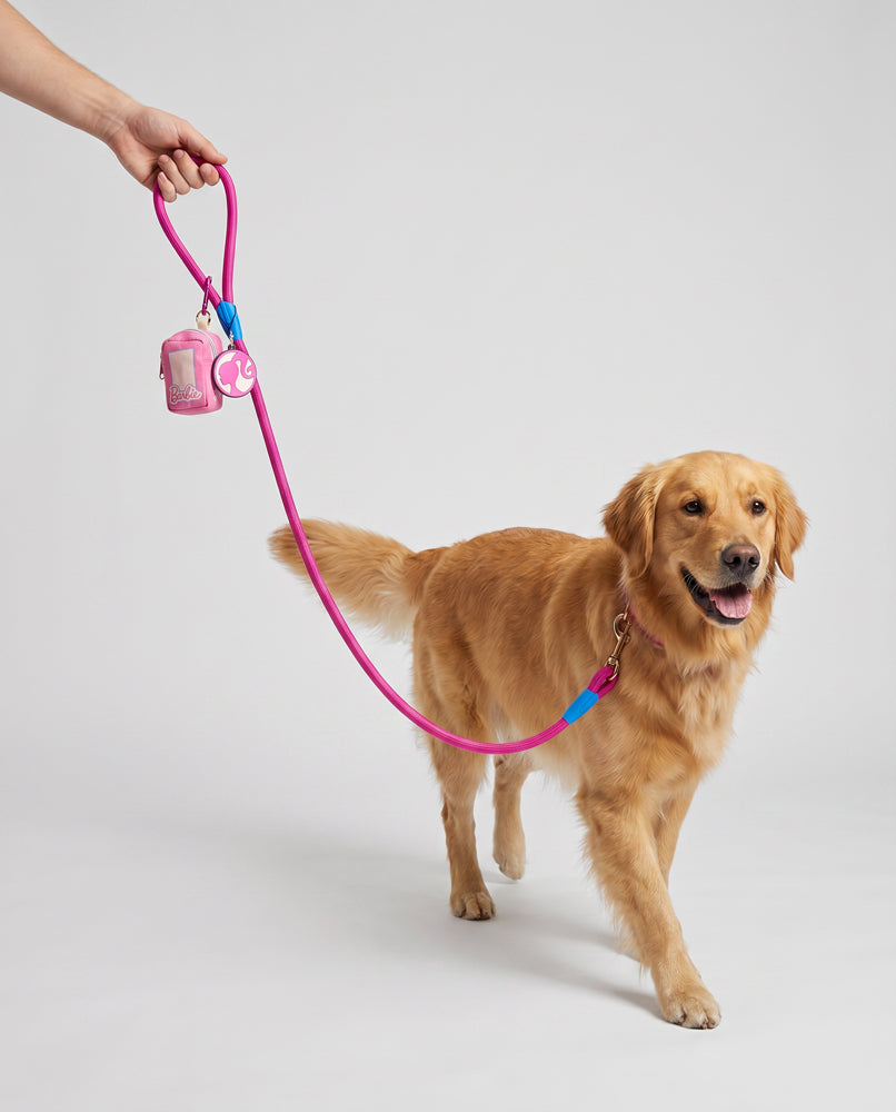 Dog Leash - Barbie Pink Rope Leash with Doll Box Shape Dispenser
