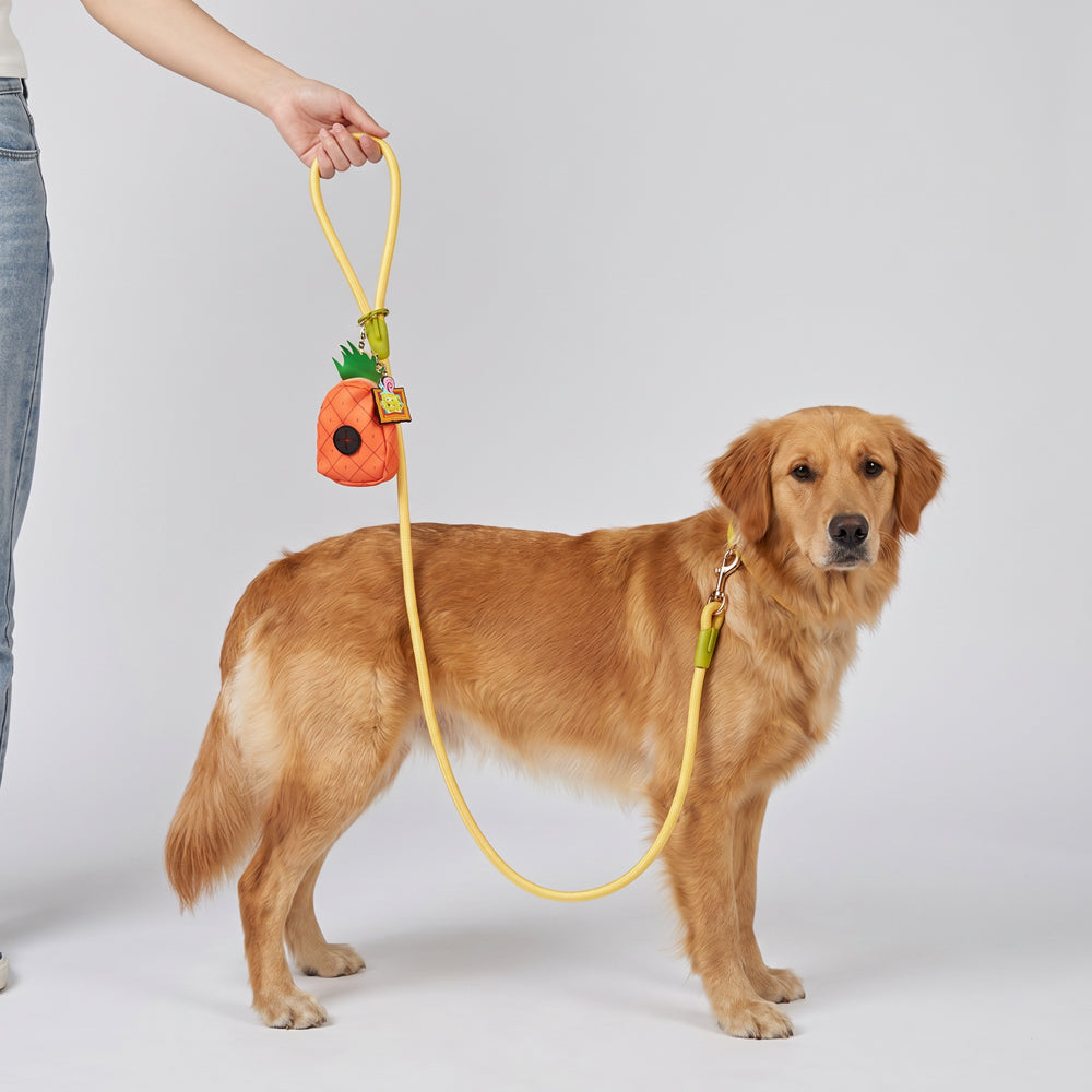 Dog Leash - SpongeBob SquarePants Yellow Rope Leash with Pineapple Shape Dispenser