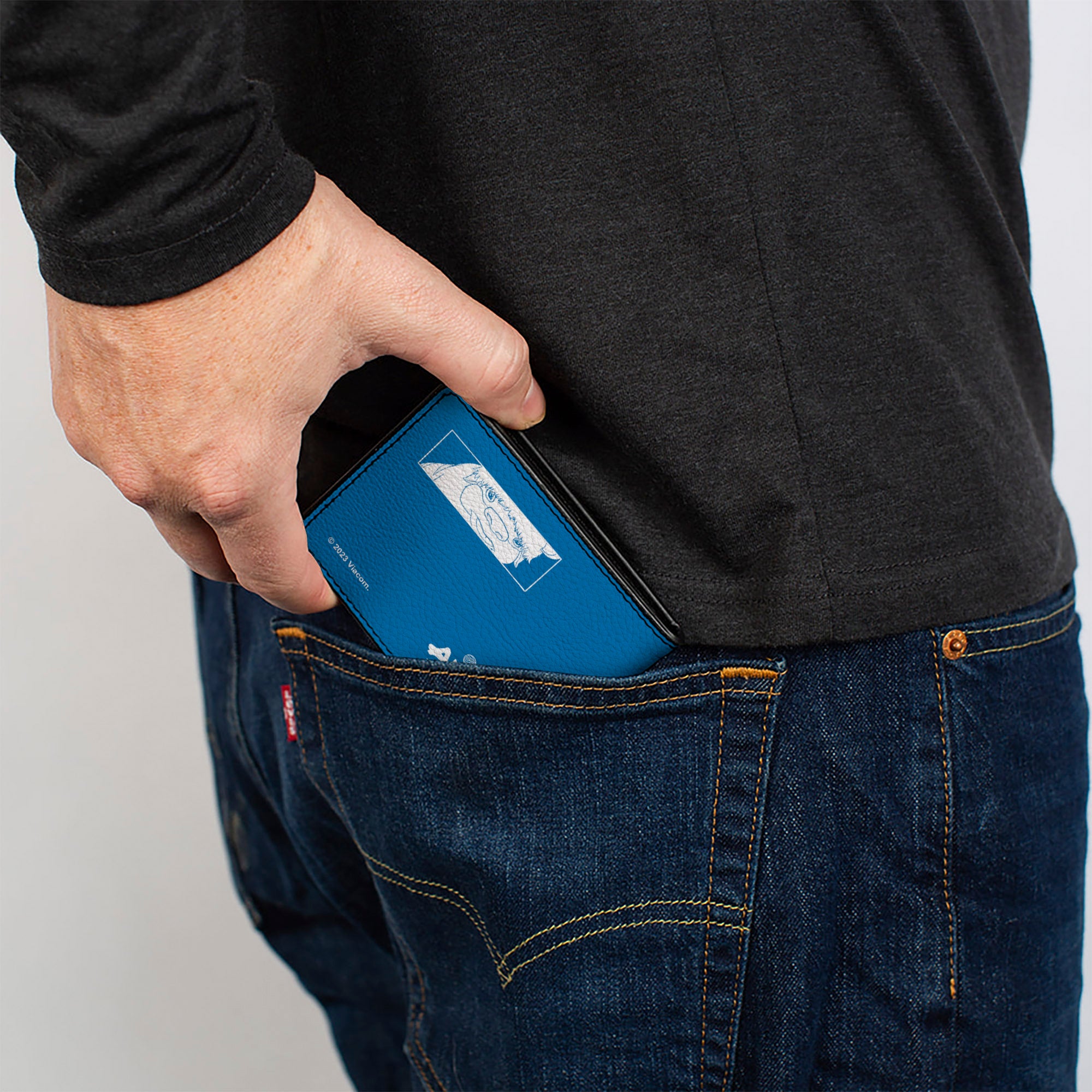 Bi-Fold Wallet - Avatar Last Airbender Aang Pose and Character Blocks and Title Logo Blue/White Bi-Fold Wallets Avatar The Last Airbender