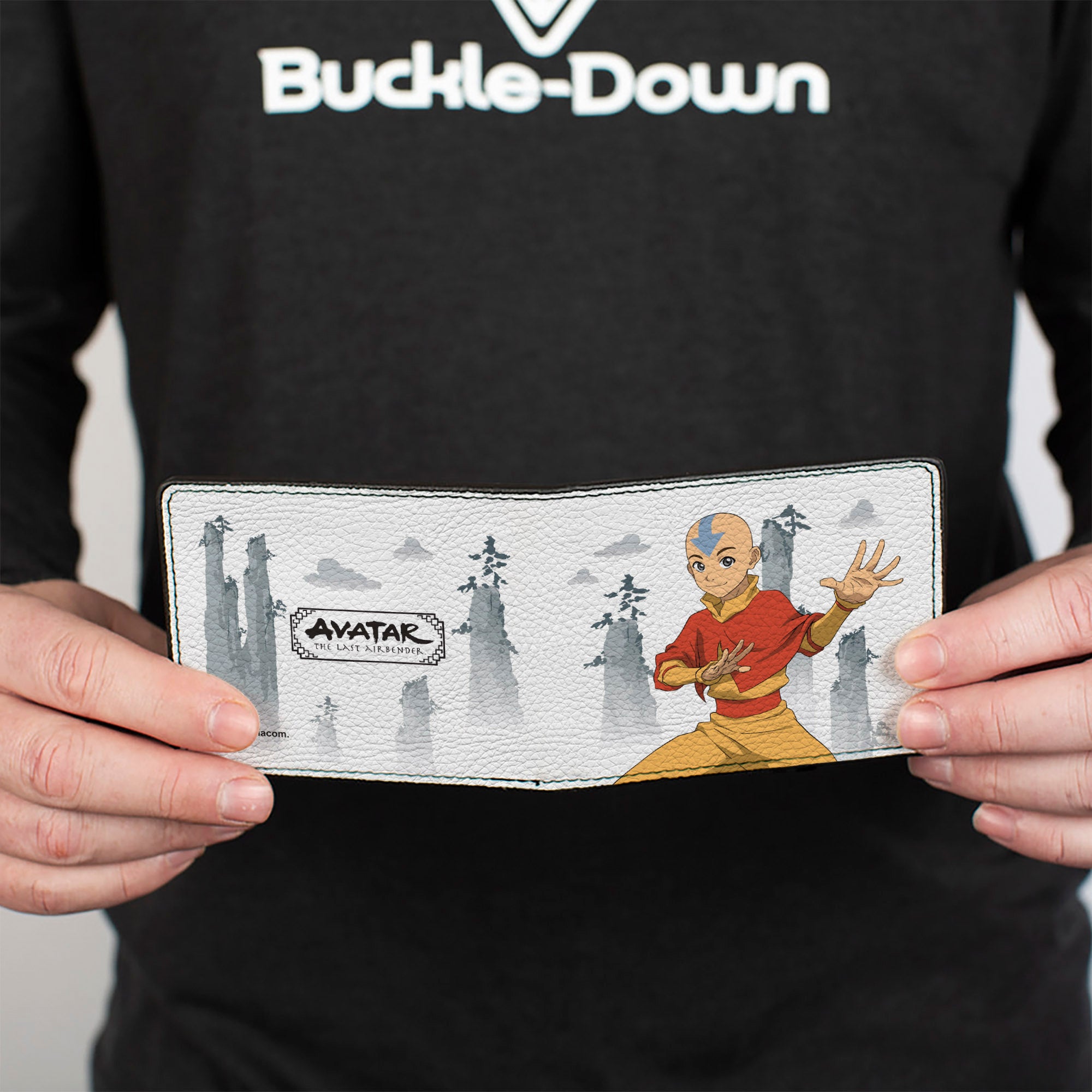 Bi-Fold Wallet - Avatar Last Airbender Aang Bending Pose and Scenery White/Grays Bi-Fold Wallets Avatar The Last Airbender
