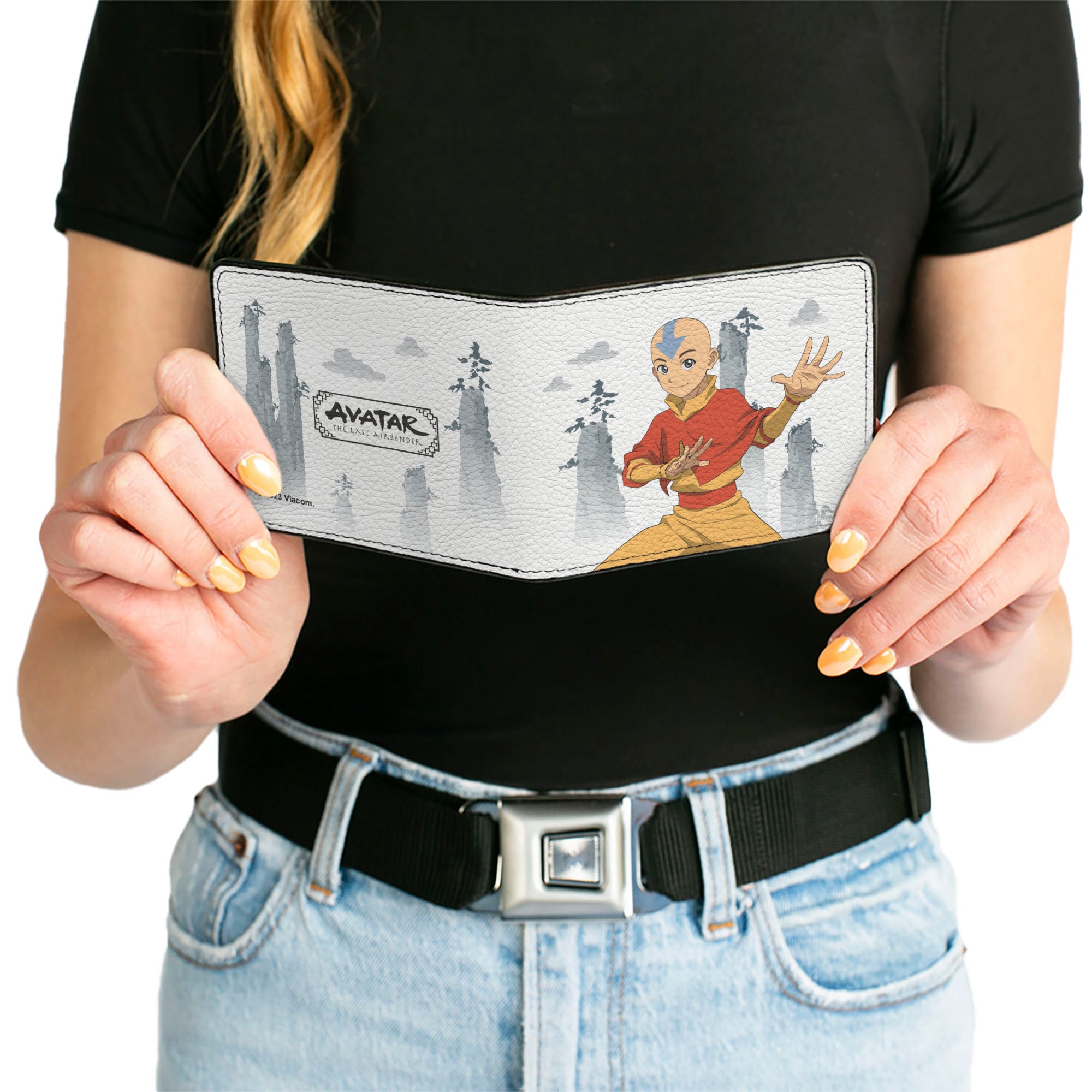 Bi-Fold Wallet - Avatar Last Airbender Aang Bending Pose and Scenery White/Grays Bi-Fold Wallets Avatar The Last Airbender