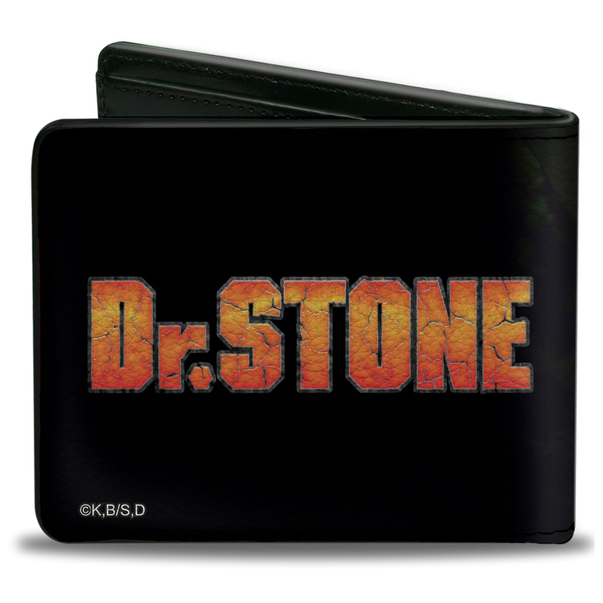 Bi-Fold Wallet - DR. STONE Senku Ishigami Ray of Despair Hope Pose and Title Logo Black Bi-Fold Wallets Dr. Stone