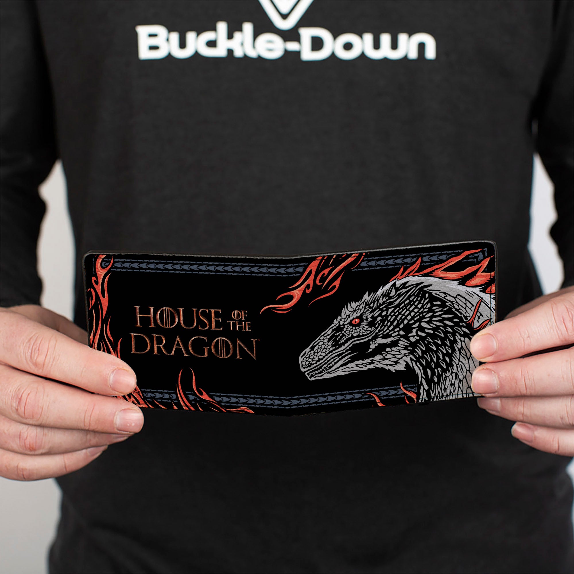 Bi-Fold Wallet - HOUSE OF THE DRAGON Dragon Pose with Flames and Title Logo Black/Grays/Red Bi-Fold Wallets House of the Dragon