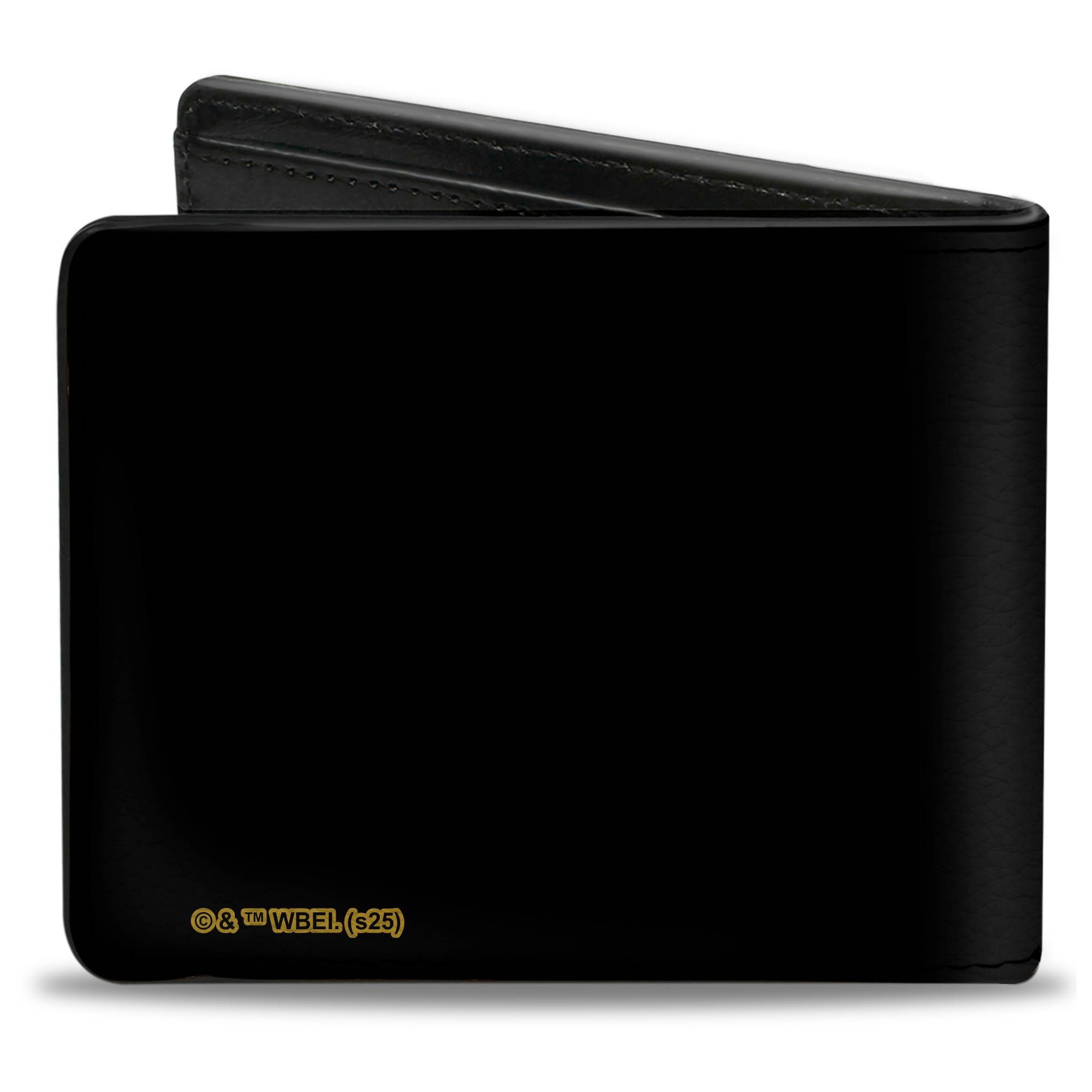 Bi-Fold Wallet - MORTAL KOMBAT Dragon Logo Black/Silver/Flames Bi-Fold Wallets Mortal Kombat