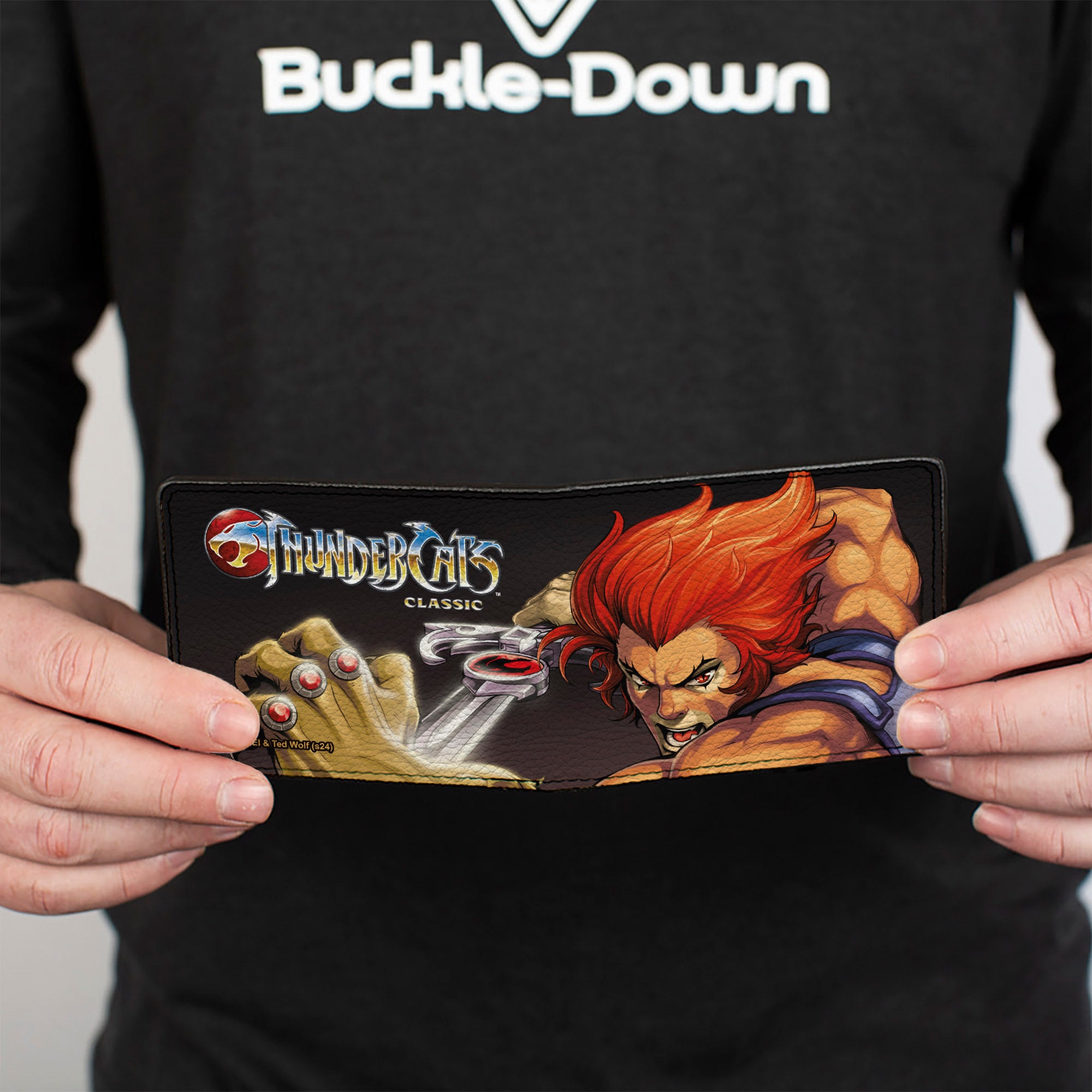 Bi-Fold Wallet - THUNDERCATS Lion-O Sword of Omens Title Logo Pose Black Bi-Fold Wallets ThunderCats