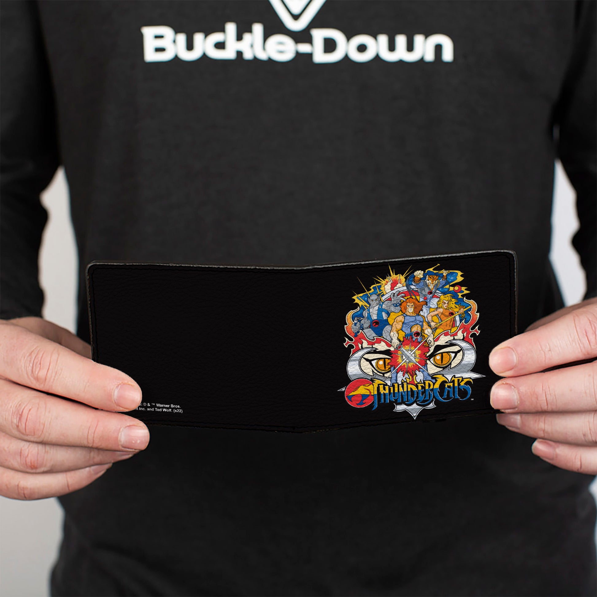 Bi-Fold Wallet - THUNDERCATS Classic Series Group Pose Title Graphic Bi-Fold Wallets ThunderCats