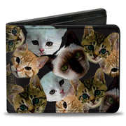 Bi-Fold Wallet - Kitten Faces Scattered Black Bi-Fold Wallets Buckle-Down