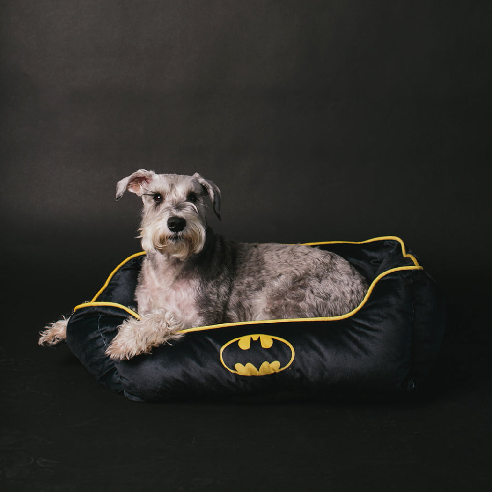 Pet Bed - Batman Black Yellow Black Pet Beds DC Comics   
