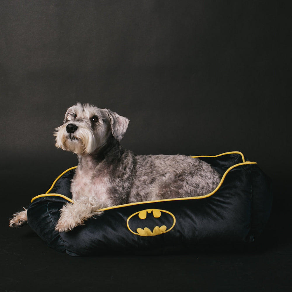Pet Bed - Batman Black Yellow Black Pet Beds DC Comics   