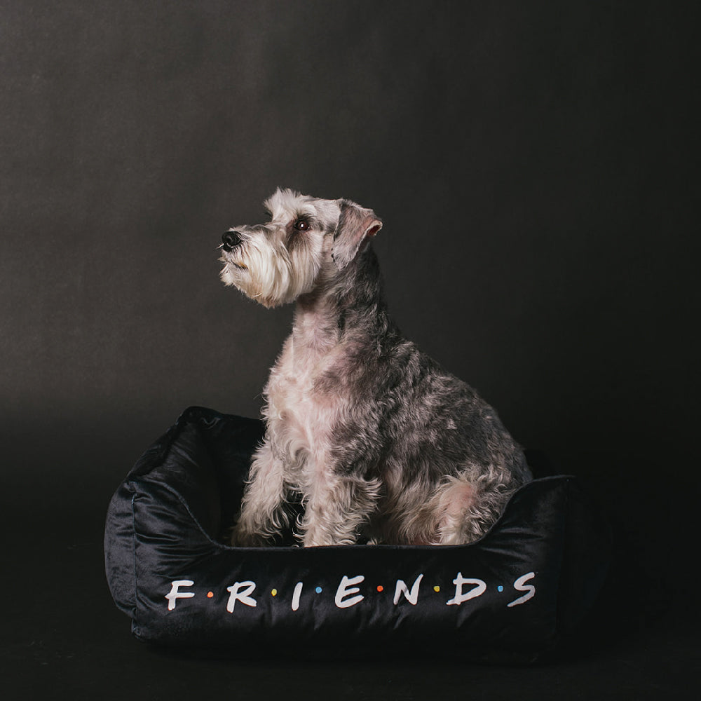 Pet Bed - FRIENDS Black White Multi Color Pet Beds Friends   
