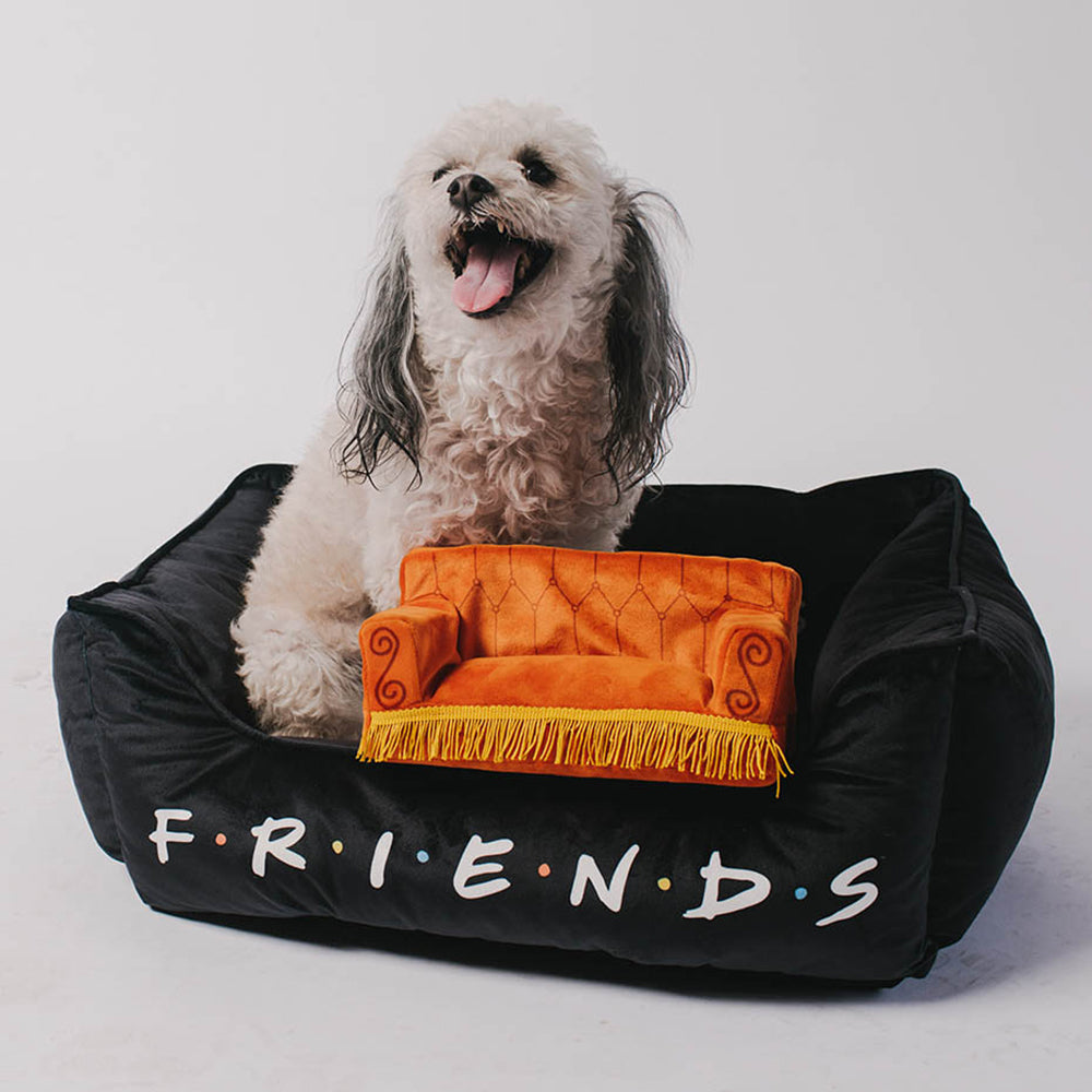 Pet Bed - FRIENDS Black White Multi Color Pet Beds Friends   