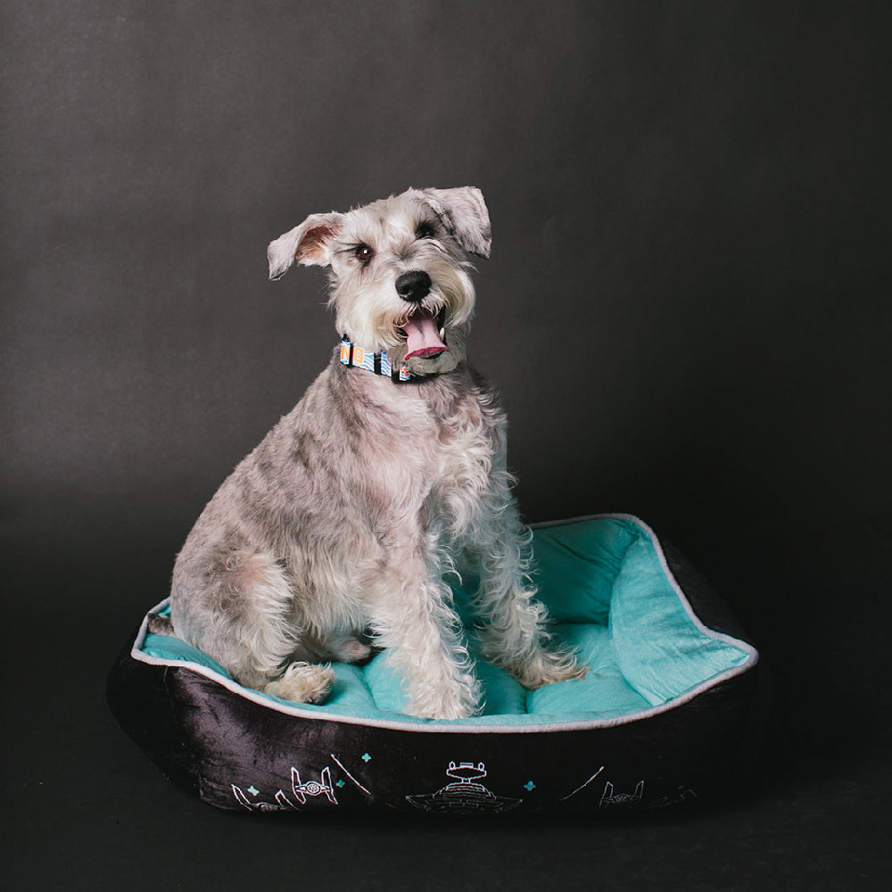 Pet Bed - Star Wars Imperial Fleet Aqua Blue Gray Black Pet Beds Star Wars   