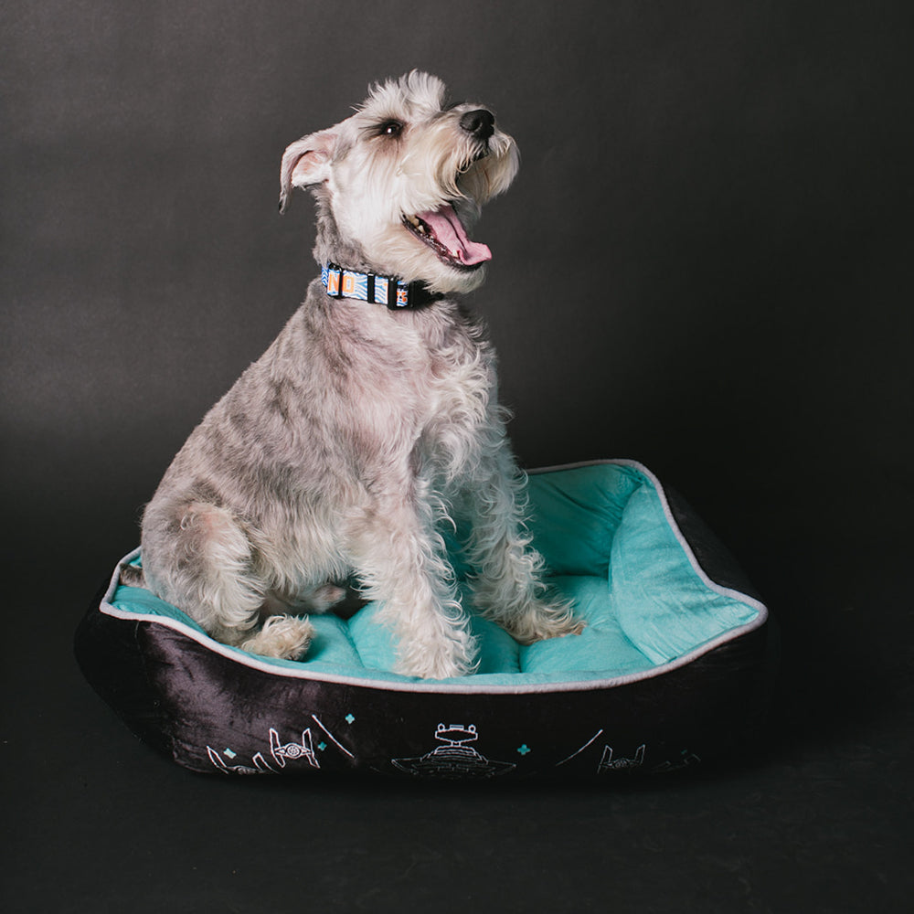 Pet Bed - Star Wars Imperial Fleet Aqua Blue Gray Black Pet Beds Star Wars   