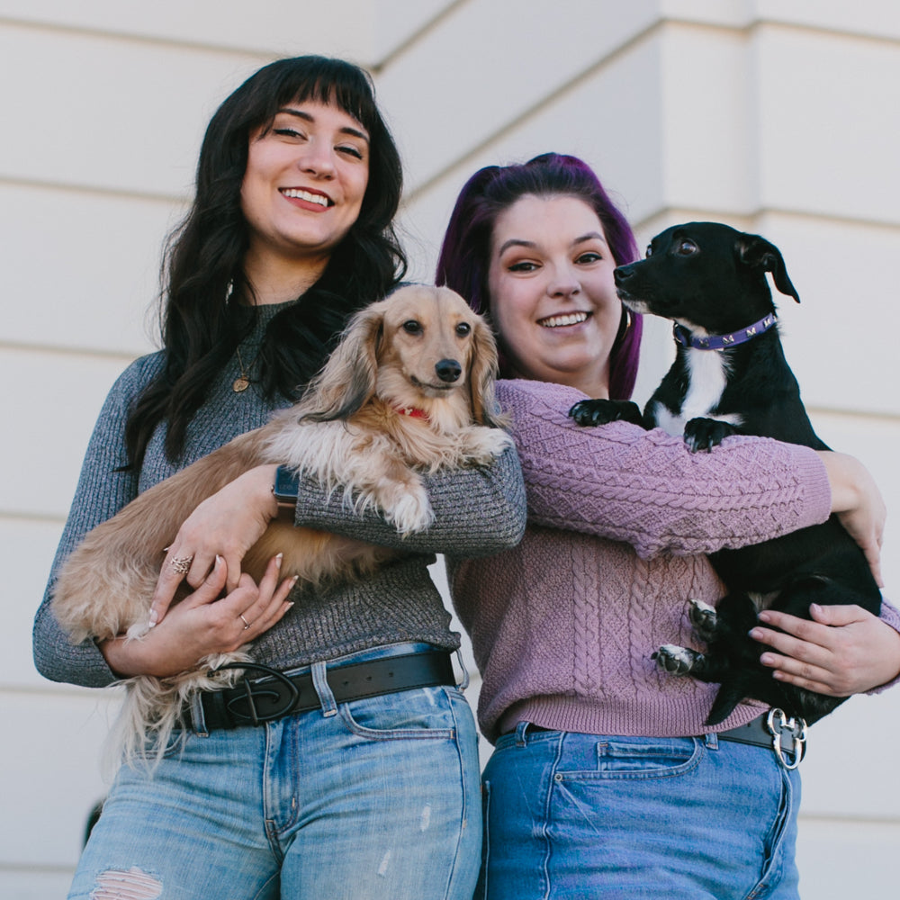 Vegan Leather Dog Collar - Disney Purple PU w Silver Cast Minnie Mouse Bow Embellishments and Charm Imported PU Collars Disney   