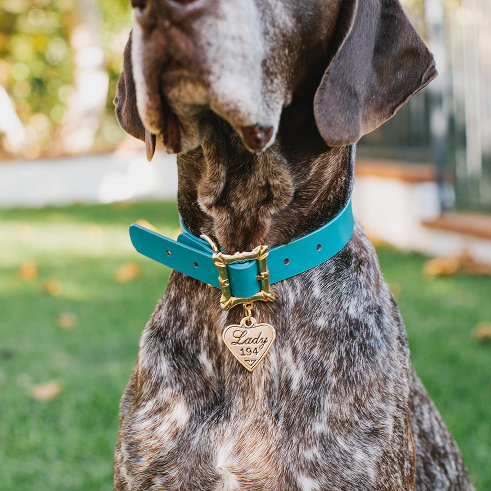 Lady and the Tramp Collar Movie Replica LADY 194 Heart Charm Imported PU Collars Disney   