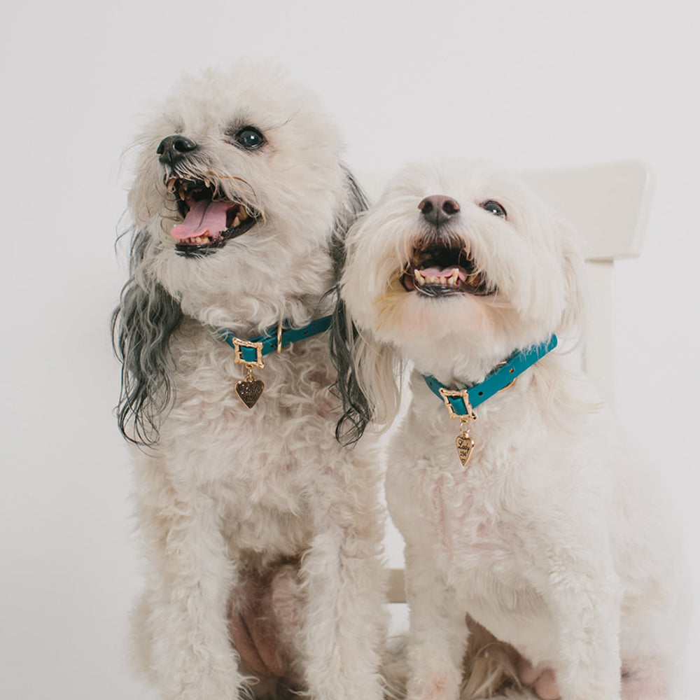 Lady and the Tramp Collar Movie Replica LADY 194 Heart Charm Imported PU Collars Disney   