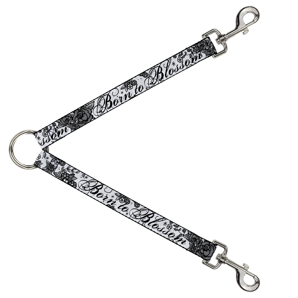 Dog Leash Splitter - Born to Blossom Black/White Dog Leash Splitters Buckle-Down   