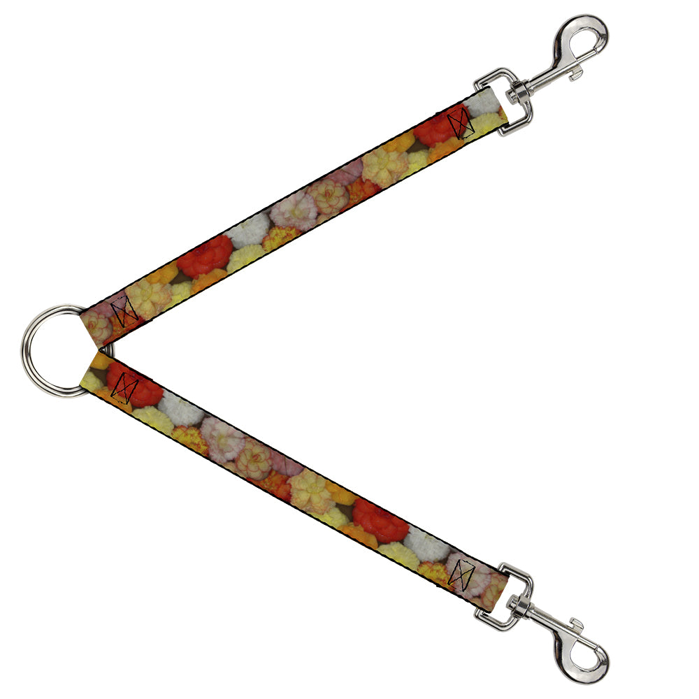 Dog Leash Splitter - Vivid Floral Collage2 Yellows/Pinks/Oranges Dog Leash Splitters Buckle-Down   