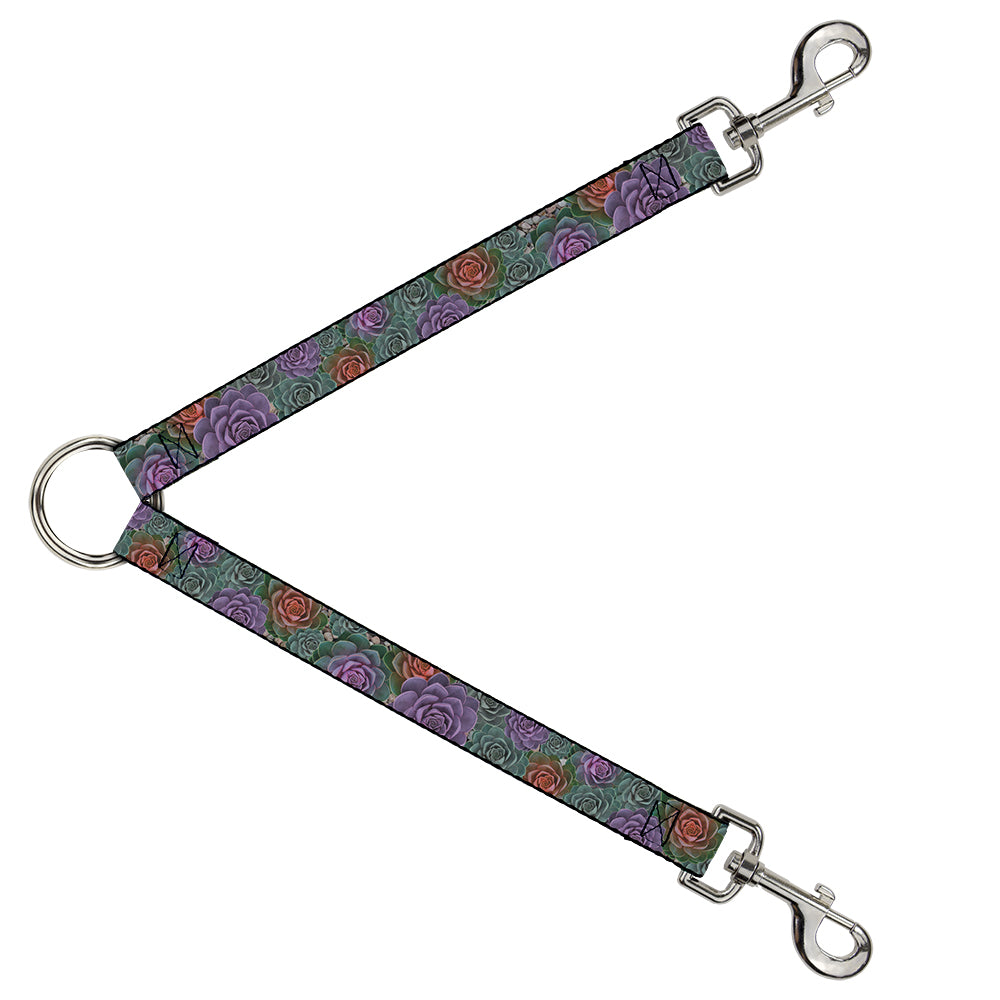 Dog Leash Splitter - Succulents Stacked Green/Pink/Orange Dog Leash Splitters Buckle-Down   