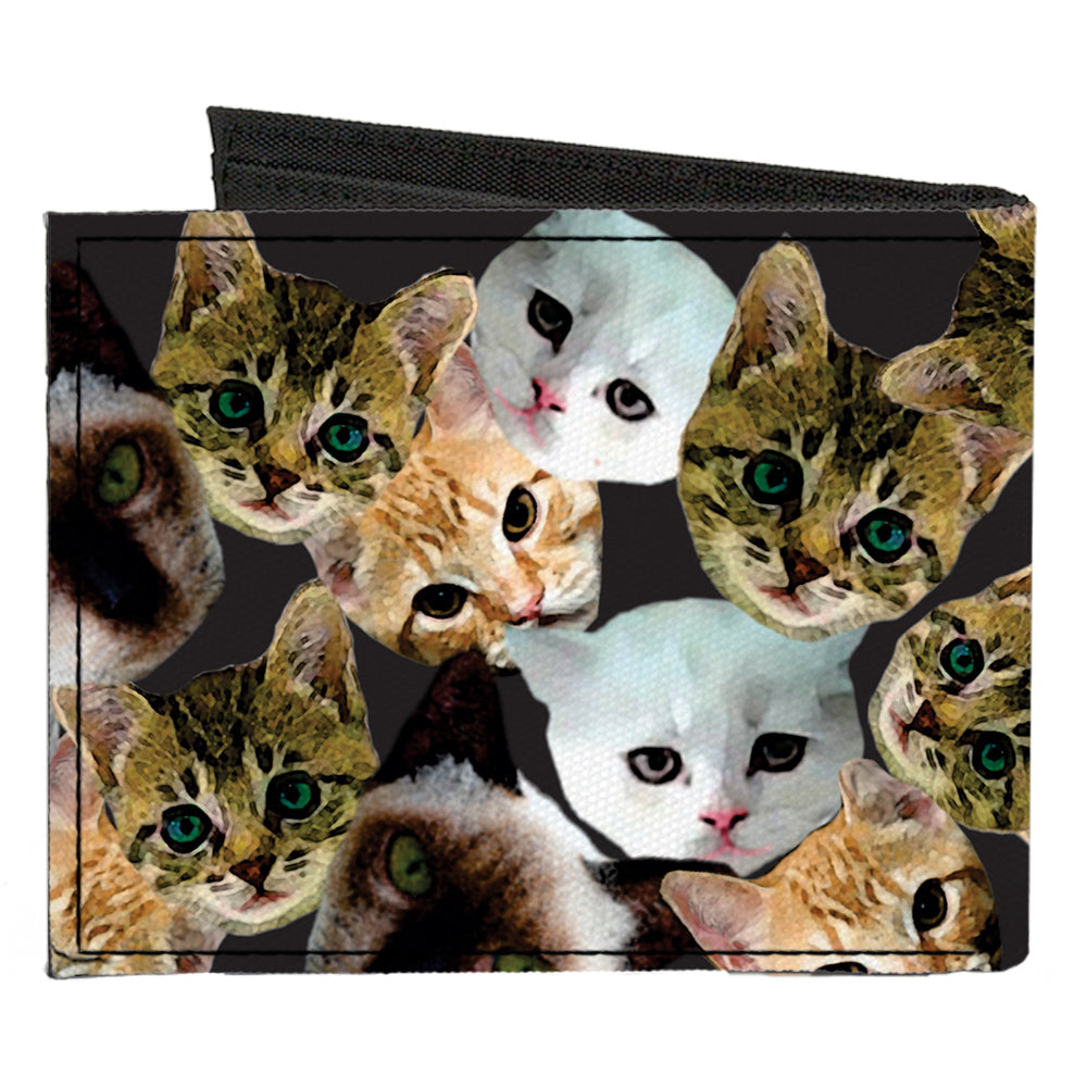 Canvas Bi-Fold Wallet - Kitten Faces Scattered Black Canvas Bi-Fold Wallets Buckle-Down   
