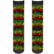 Sock Pair - Polyester - Marijuana Haze Rasta Rasta - CREW Socks Buckle-Down   